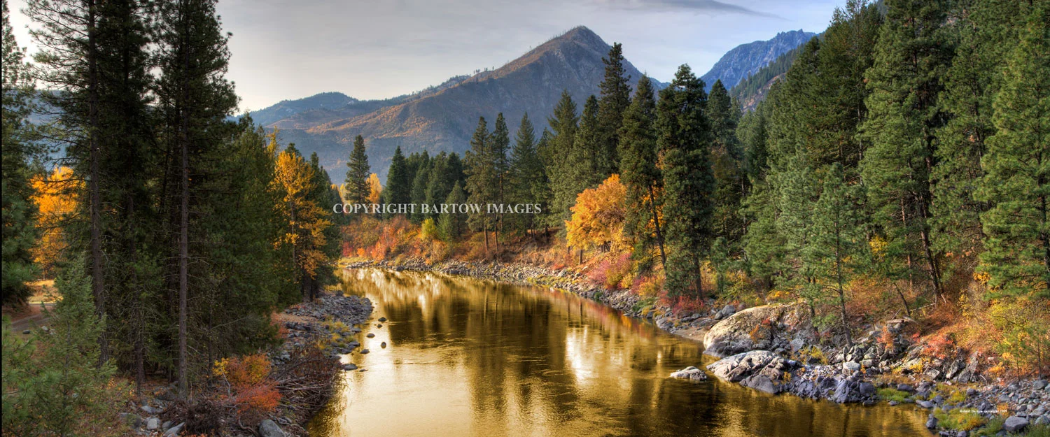 River of Gold Panorama