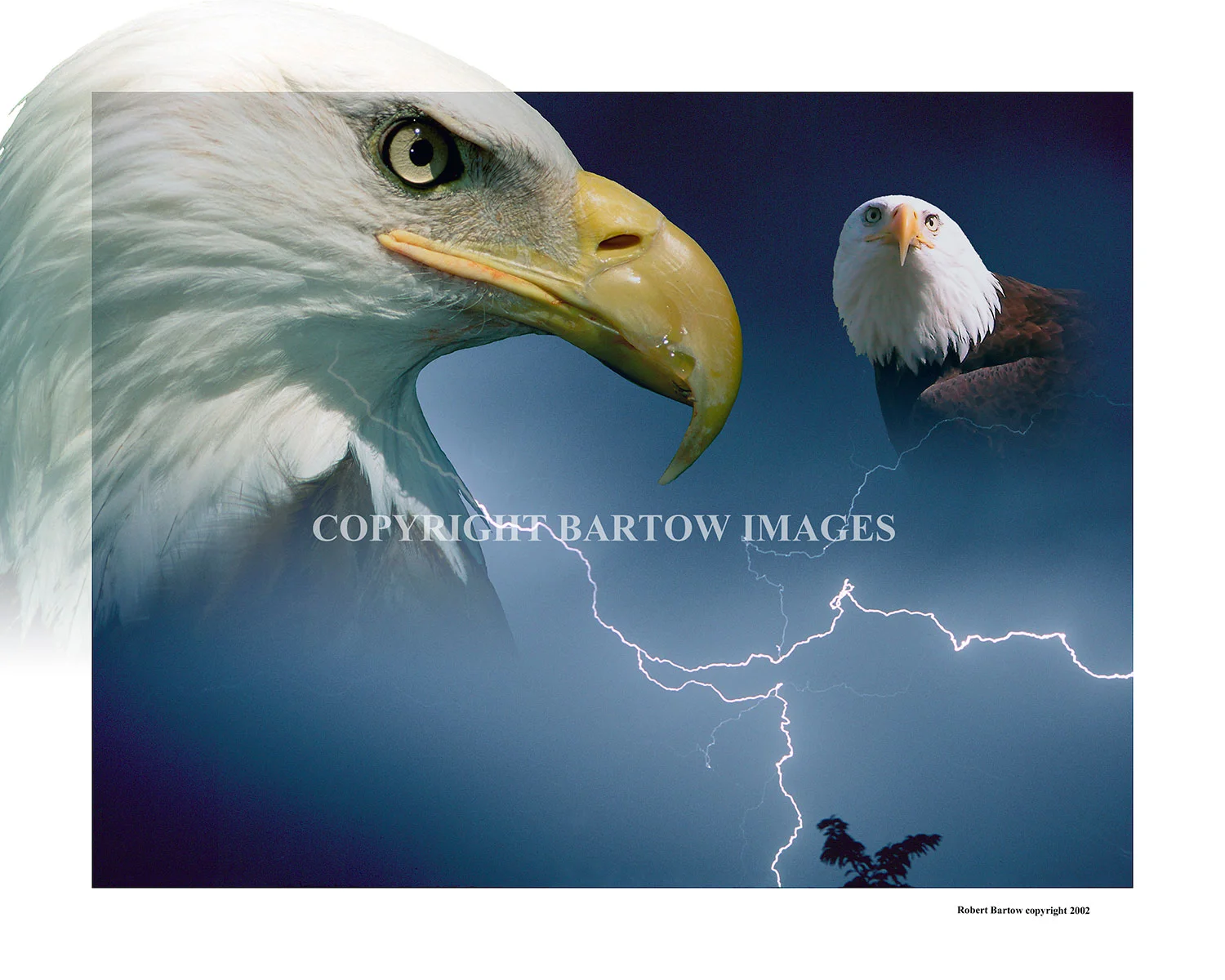 Gathering-of-Eagles.jpg