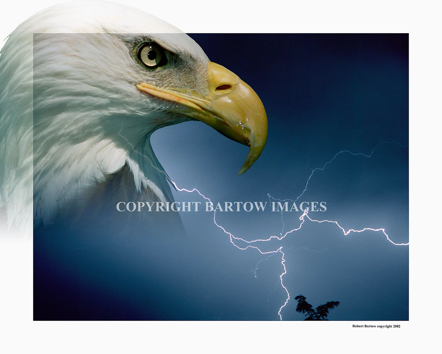 Power-8x10.jpg