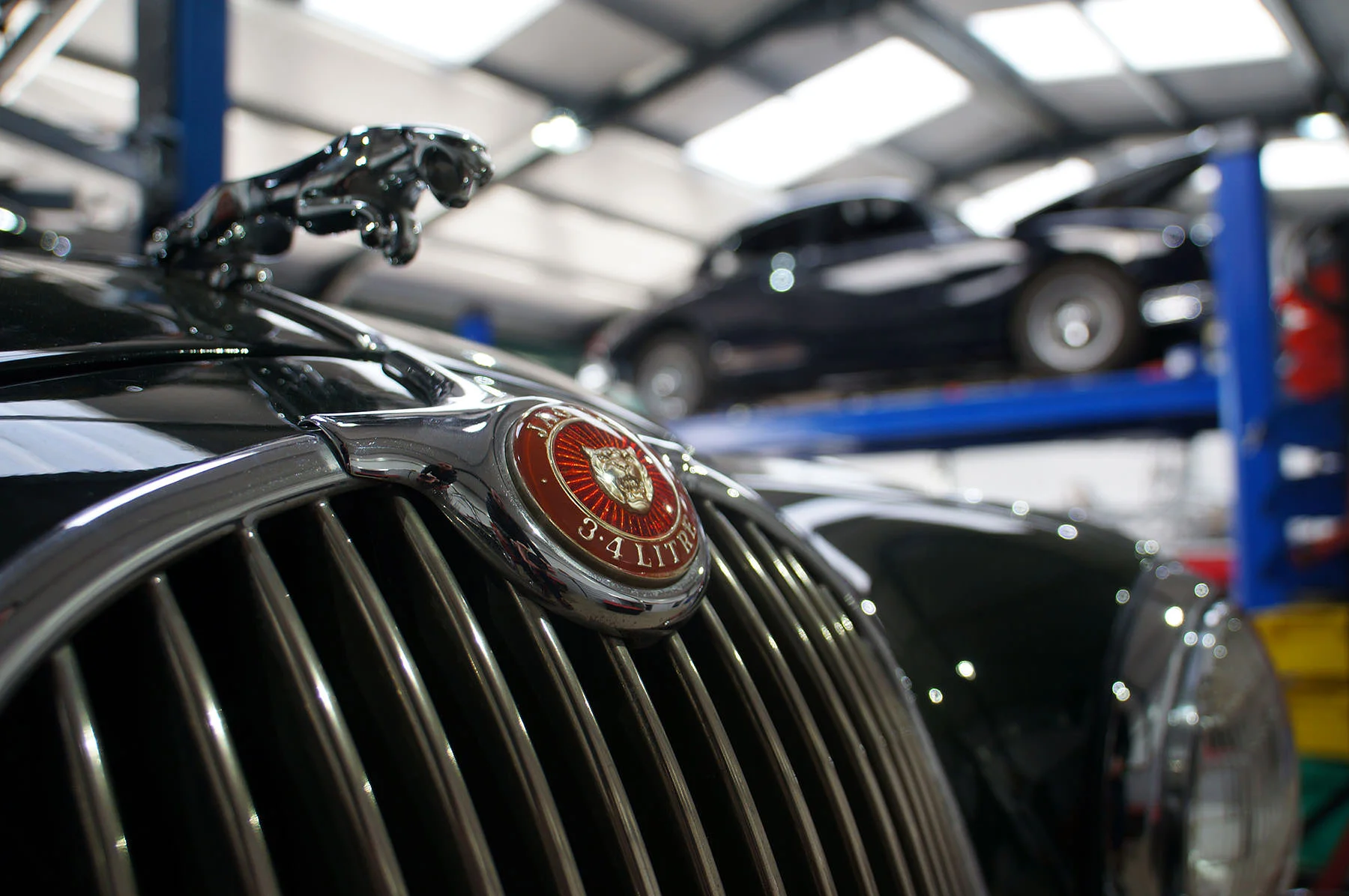 Jaguar in workshop at M&C Wilkinson for Sayer Selection