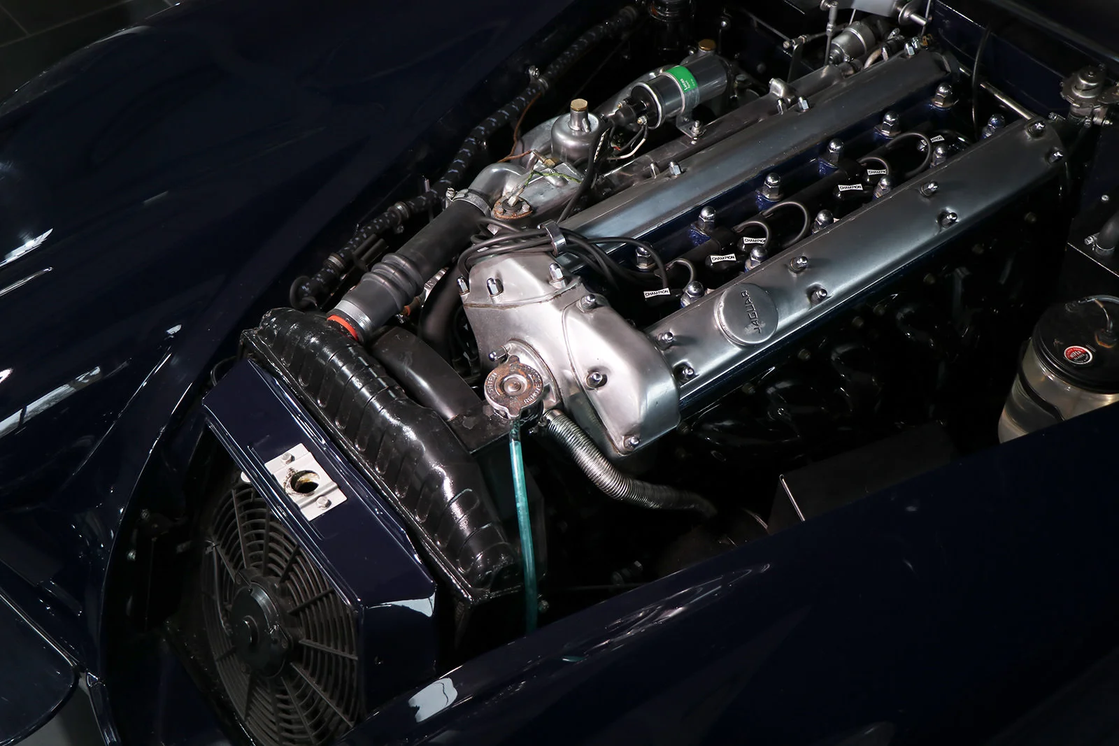 Jaguar_xk150_1959_sayer selection_wilkinson_blue_red_web_32.jpg