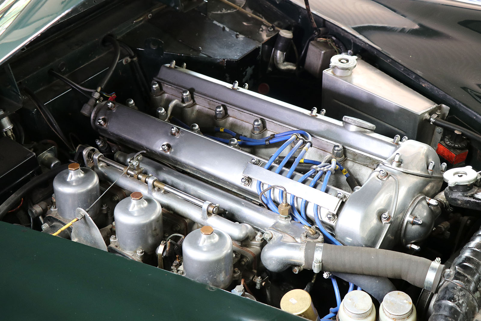 1959_green_XK150_3.8_DHC_sayer selection_wilkinson_20 web.jpg