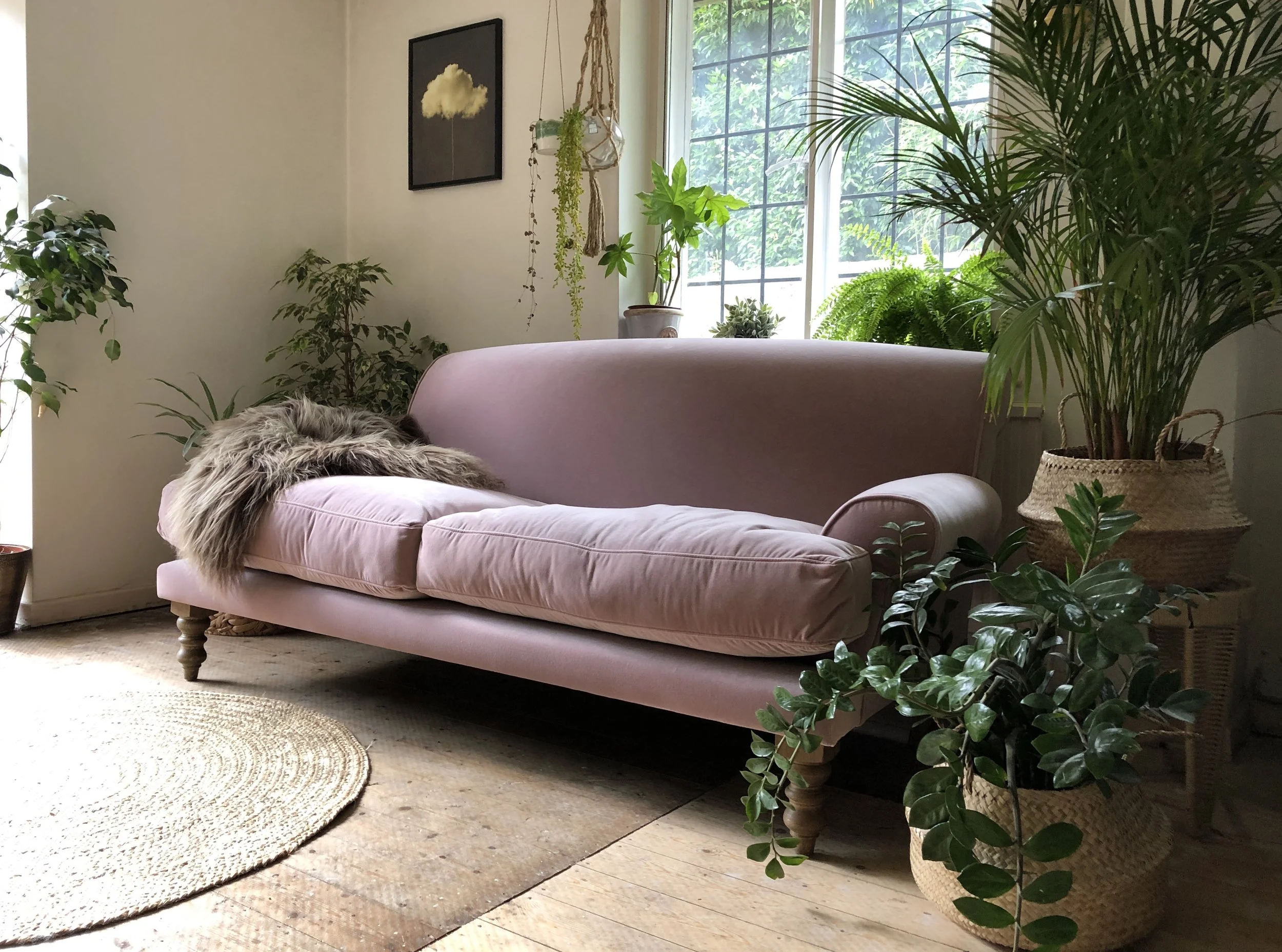 I can never have enough plants in my home…..