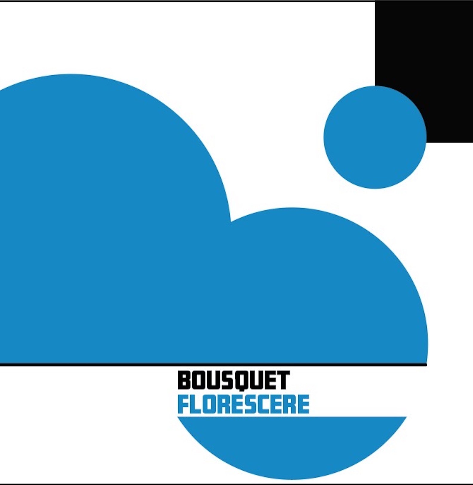 Screen Shot 2023-07-07 at 12.55.38 PM.jpeg