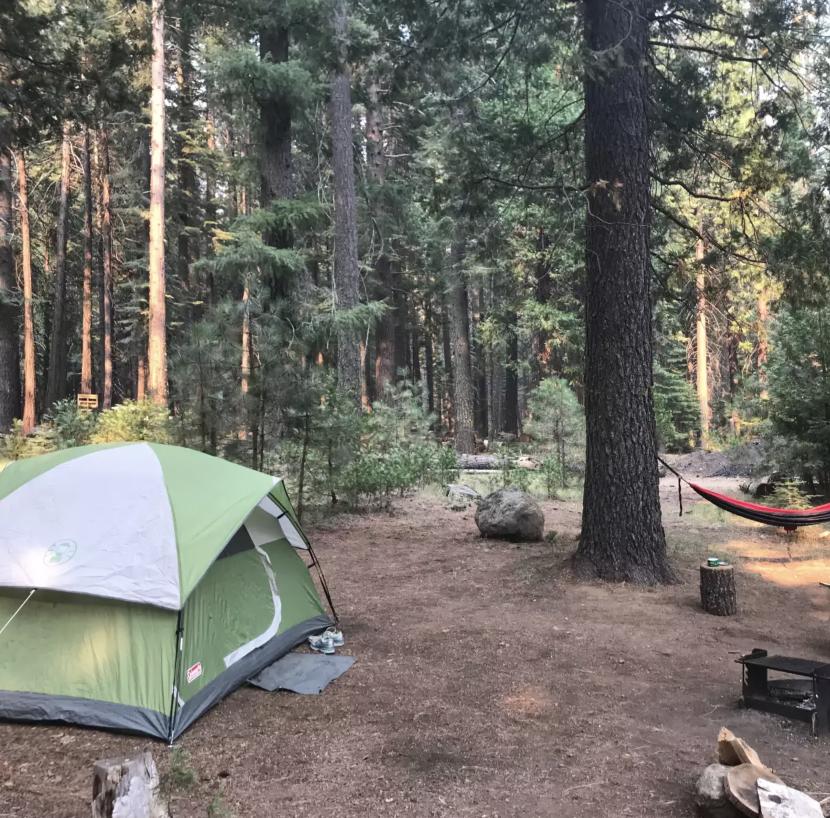 Screen Shot 2022-03-29 at 12.58.06 PM.png