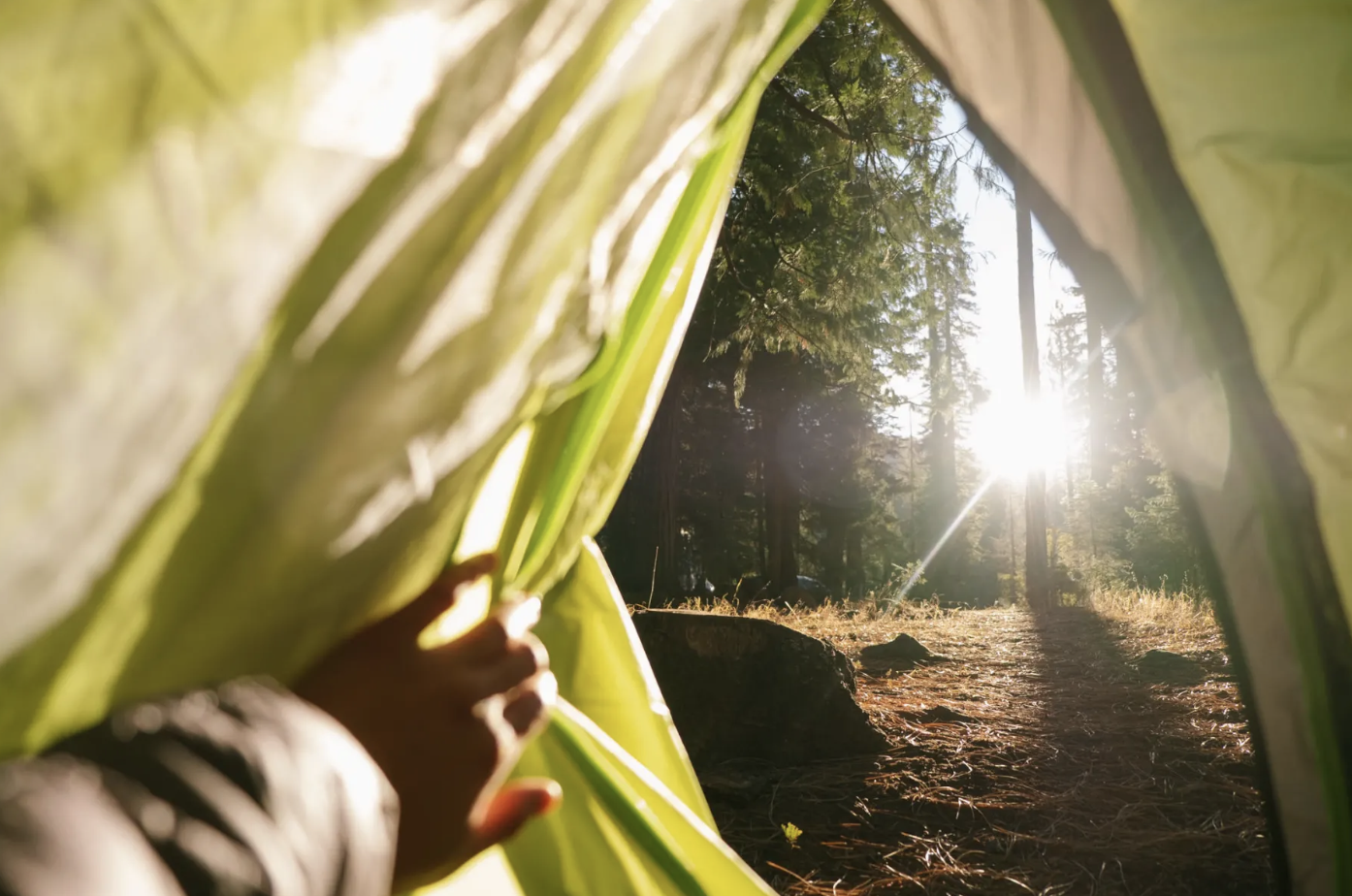 Screen Shot 2022-04-29 at 1.57.46 PM.png