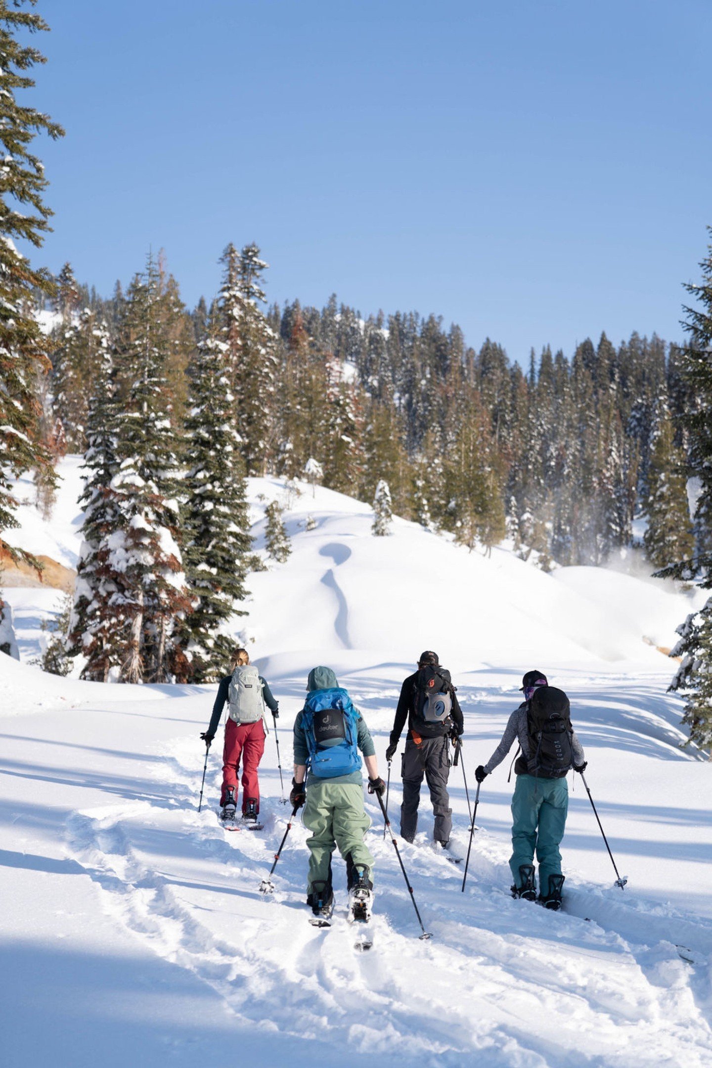 Winter&rsquo;s here in Mill Creek, and you know what that means&mdash;time to embrace your inner snow lover (or cabin potato)! ❄️ 

Whether you&rsquo;re shredding the backcountry, sledding like a pro, snowshoeing through the powder, or just curled up