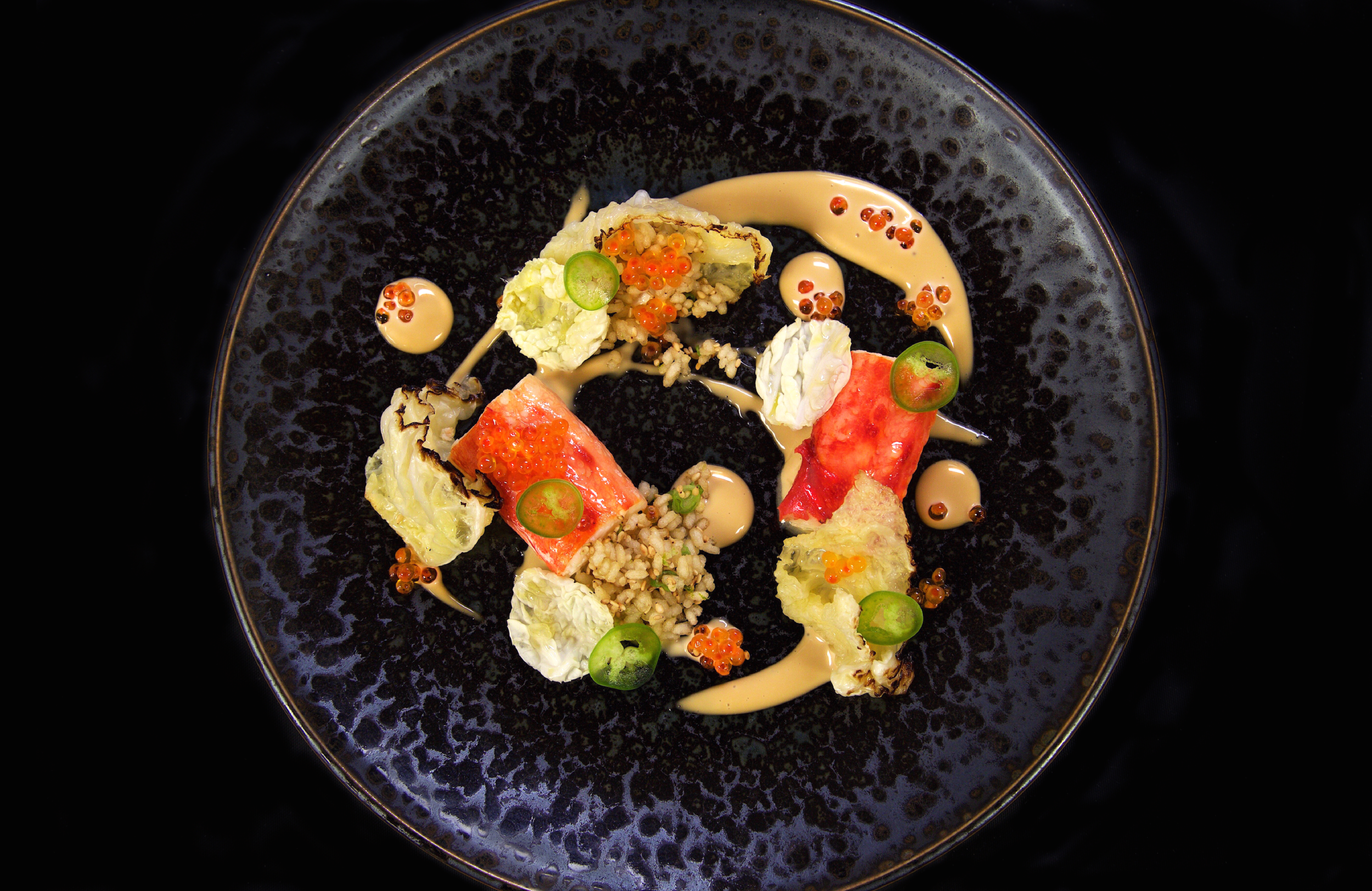 Dish 1 Final copy.png
