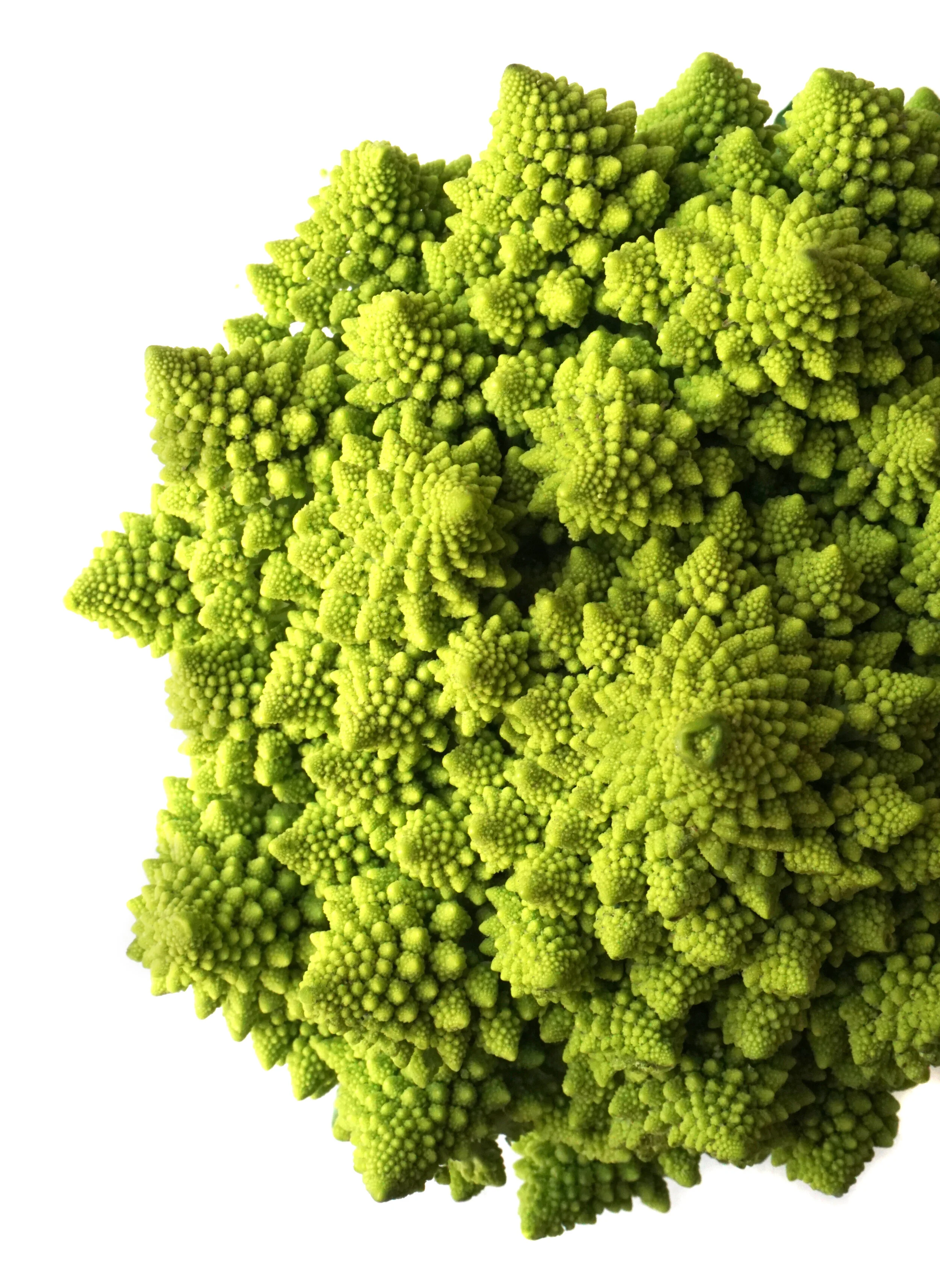 Romanesco.jpeg