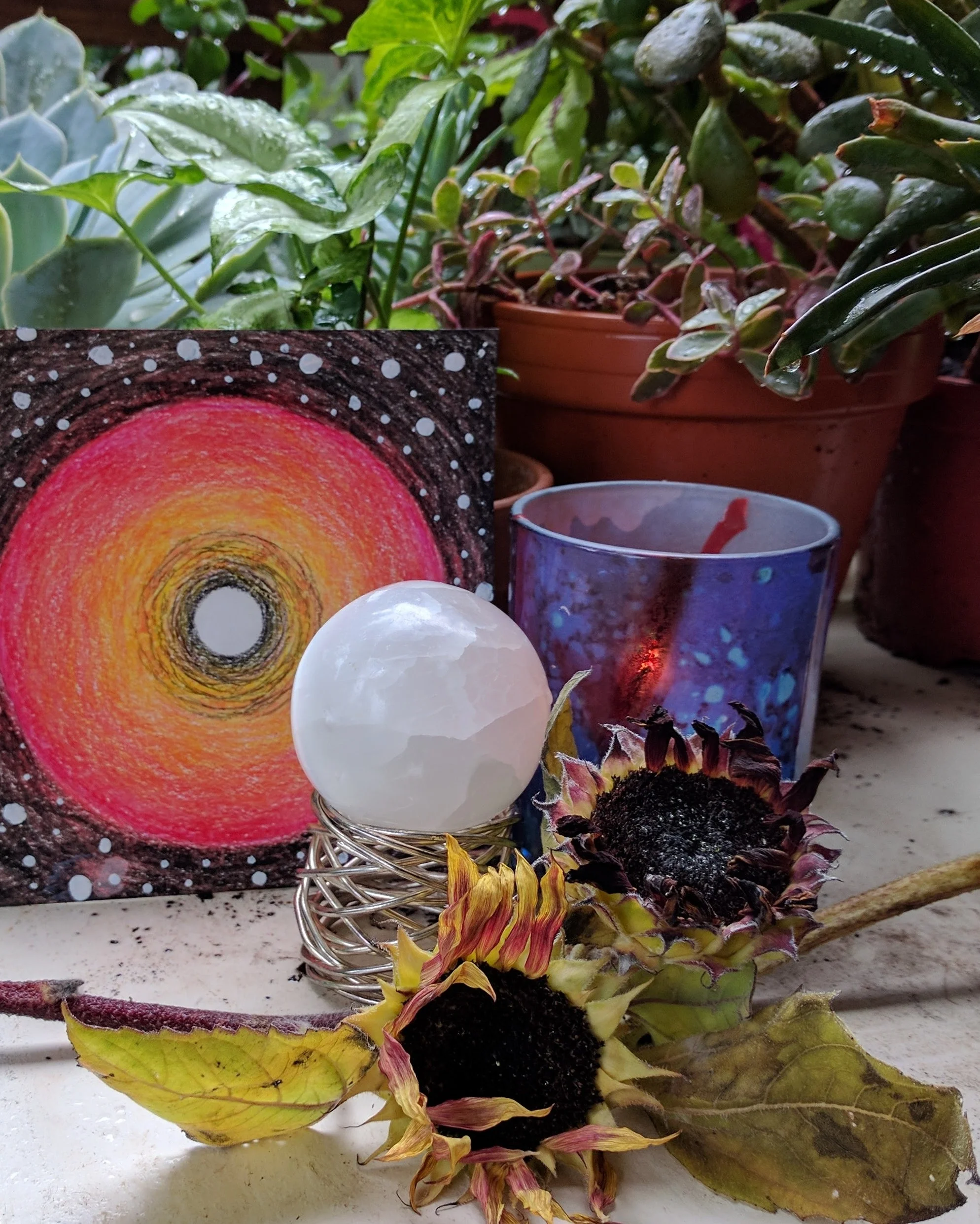 New Moon in Leo