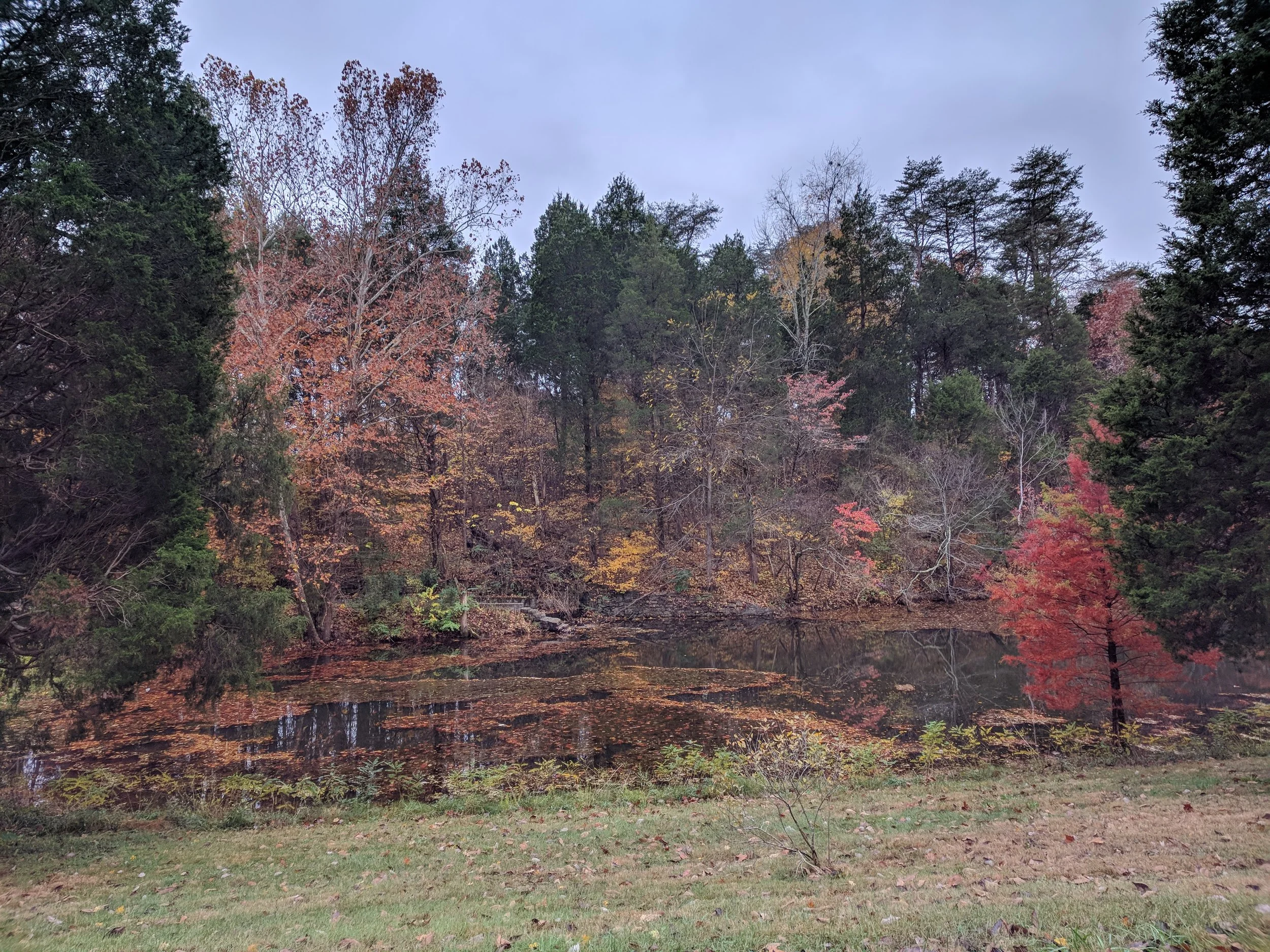 bernheim6.jpg