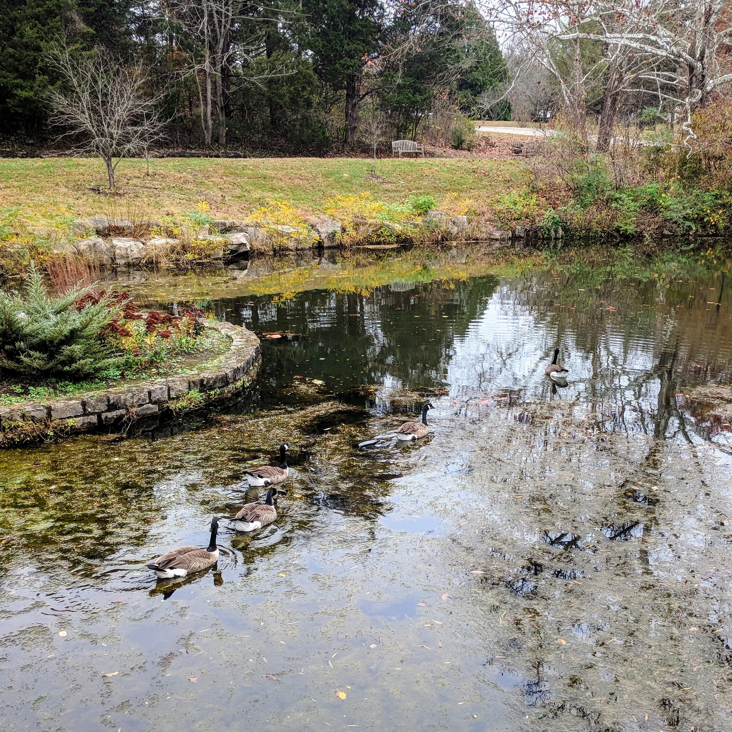 bernheim16.jpg