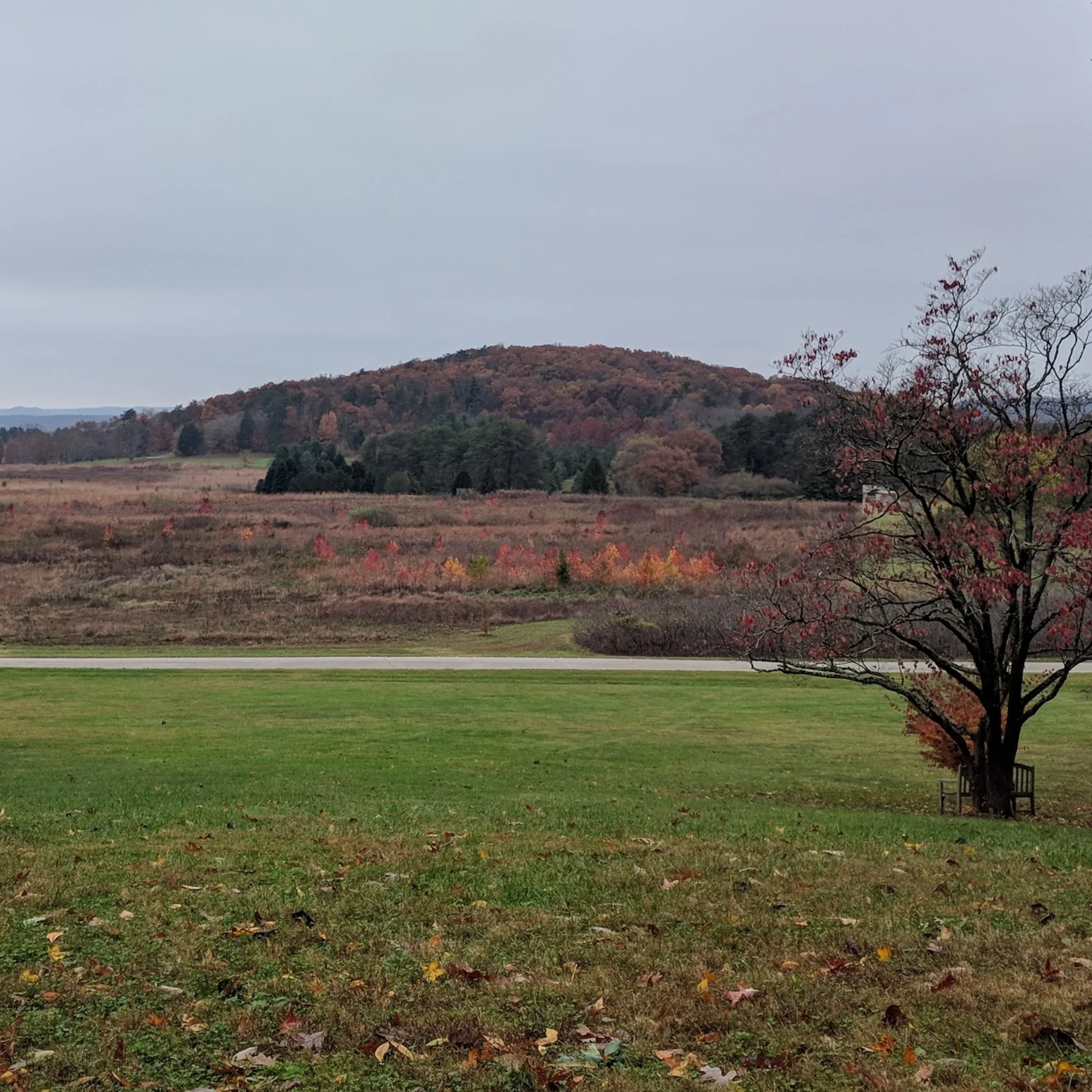 bernheim14.jpg