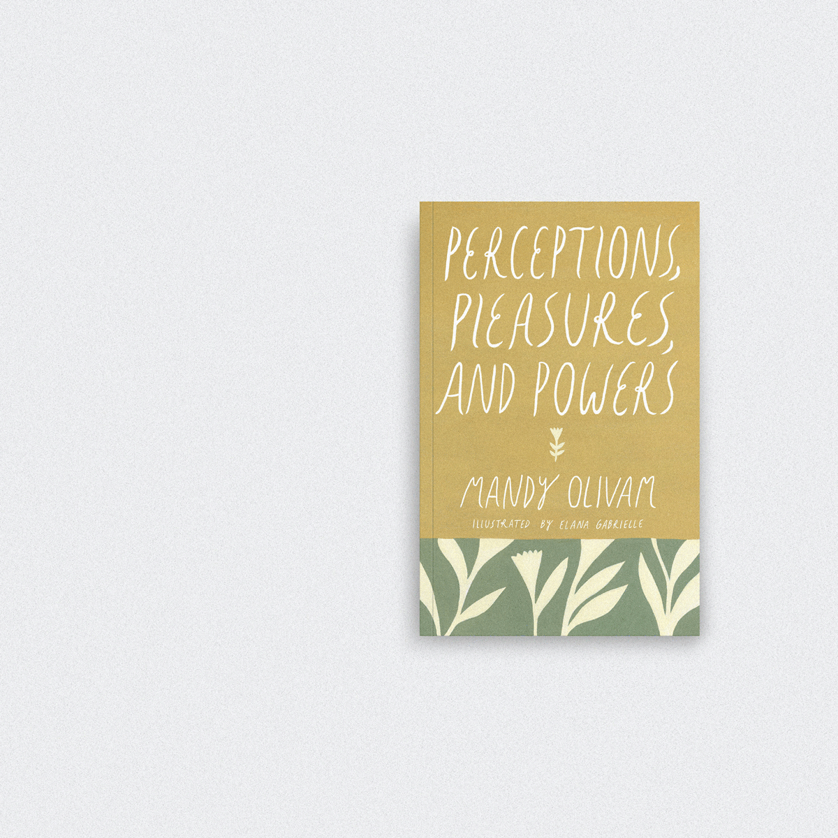 LOAM_Perceptions.gif