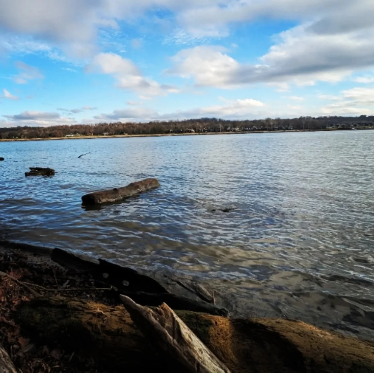🌊🏞️ OYO 🌀

River speaks in flow, original name 
lost to language long eroded, tongues
of wind, limb, fin. Water calls all names.
Floods mirror fated landscapes - 
banks cannot dam flux. I stand here,
looking across lengths of swells toward
freedom