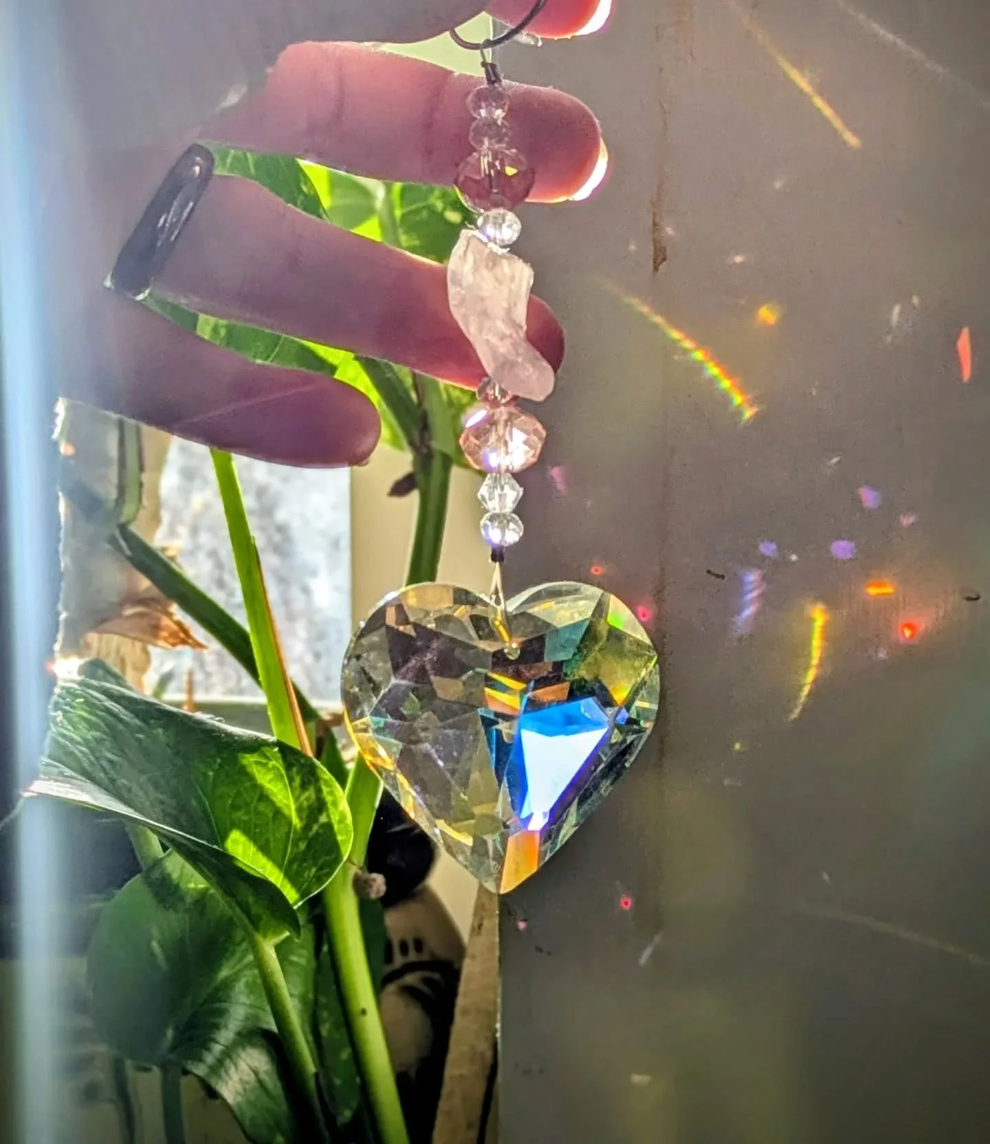 Points of awareness and consciousness - minds, souls, hearts - are shaped like various prisms, reflecting and refracting Light that comes from the Great Source. According to the dimensions and the angle, various colors, shapes, and directions are rev