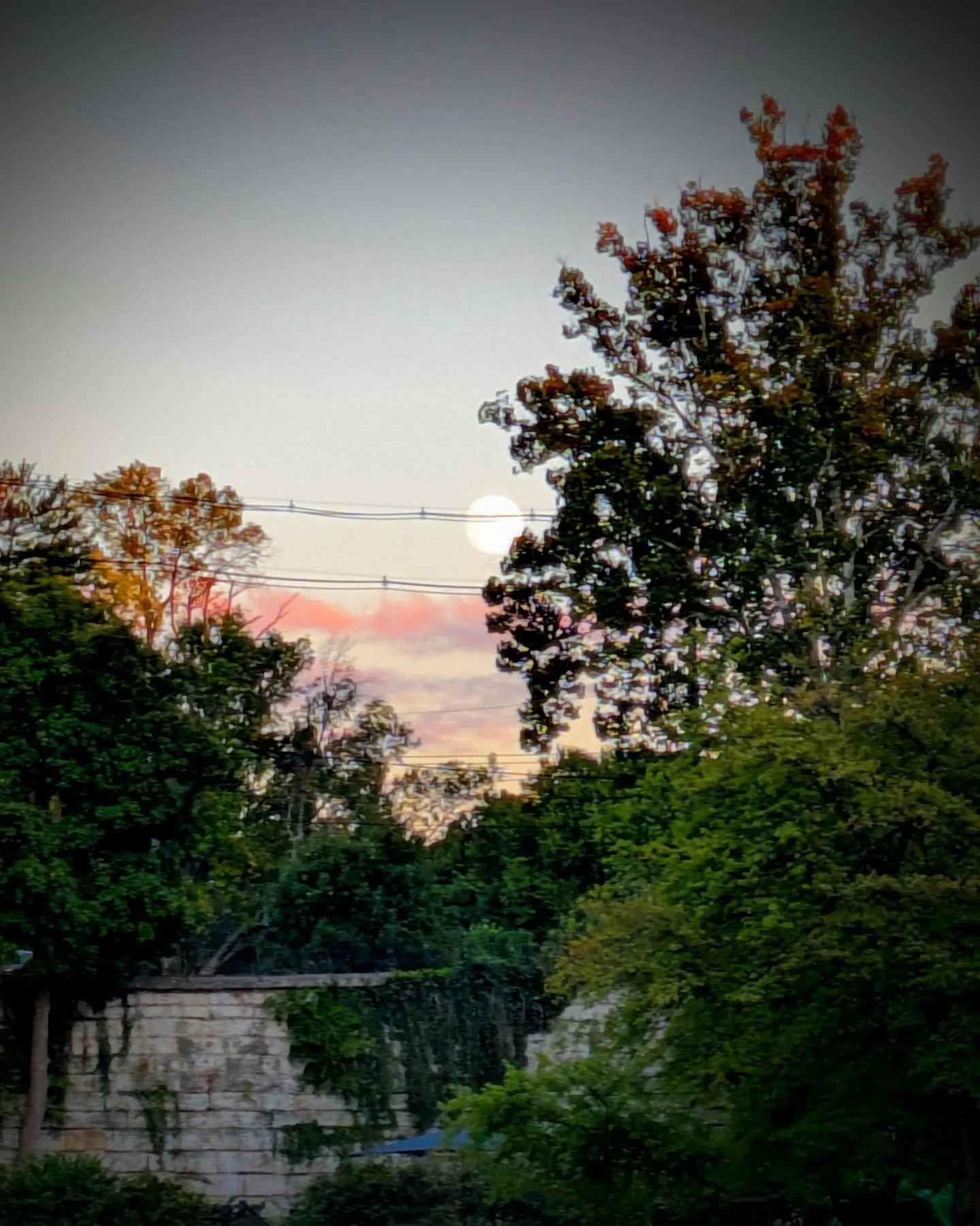 Tonight, a beautifully intimate group gathered beneath the full harvest moon to sip mugwort, rose, and mint tea and bask in cosmic reflection. As the world painfully turns, violently burns, and desperately yearns for healing and harmony, taking a pau