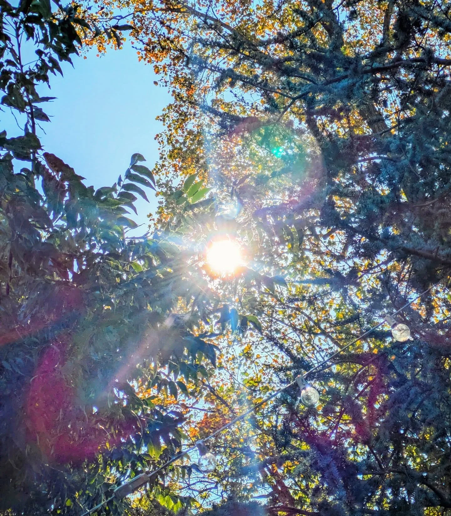 This week, I shared a beautiful hour with my spiritual director. We explored the dance I've been learning anew between Agency and Awareness. As always, the outer work of co-creating community-communion (far and wide) mirrors the inner integration we'