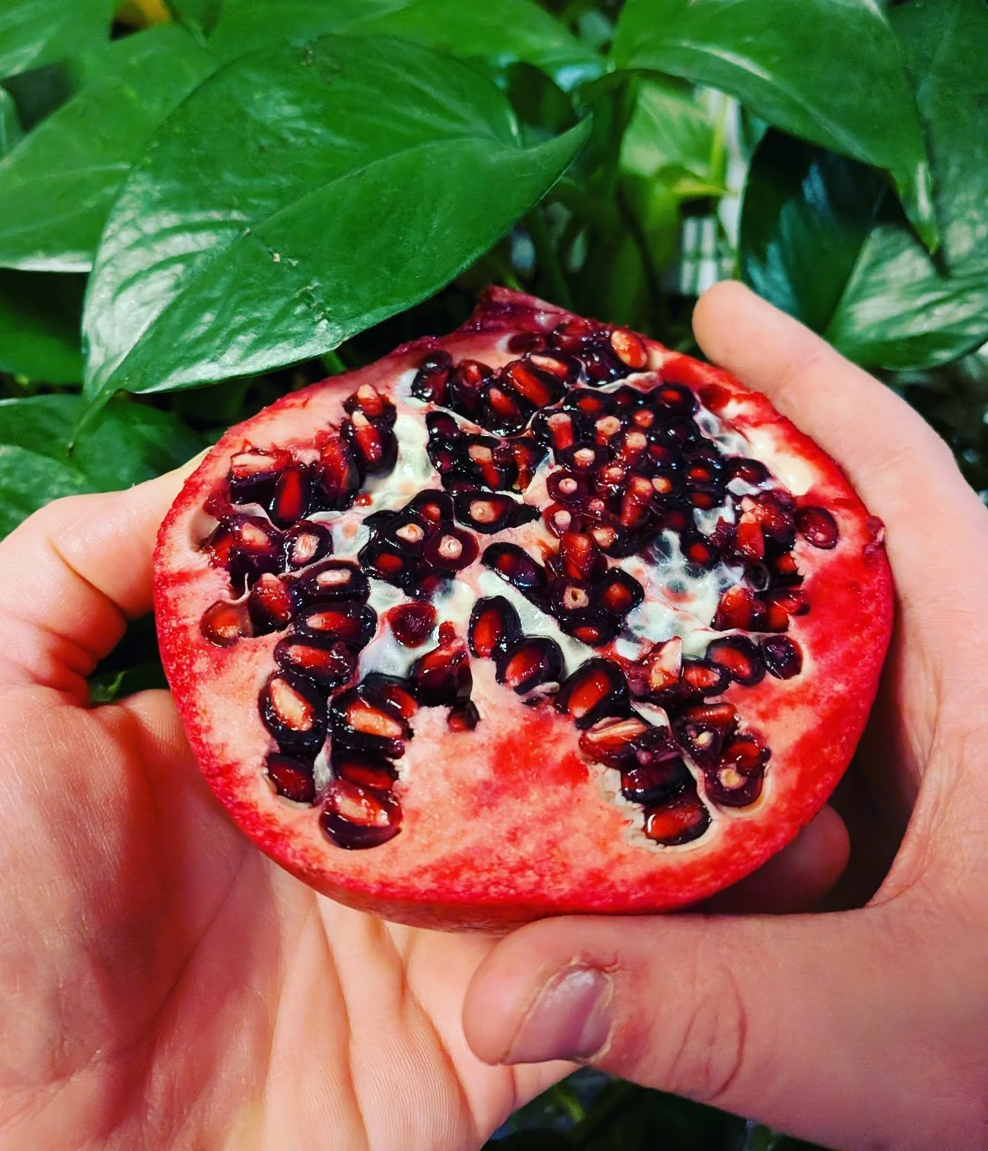 GRATITUDE

Gratitude does not recline in an oversized armchair, stuffed and surrounded in luxury, declaring, &quot;I'm so thankful for what I have.&quot;

Gratitude leaves our mouths and arms open wide in wonder that WE EXIST when there could have be