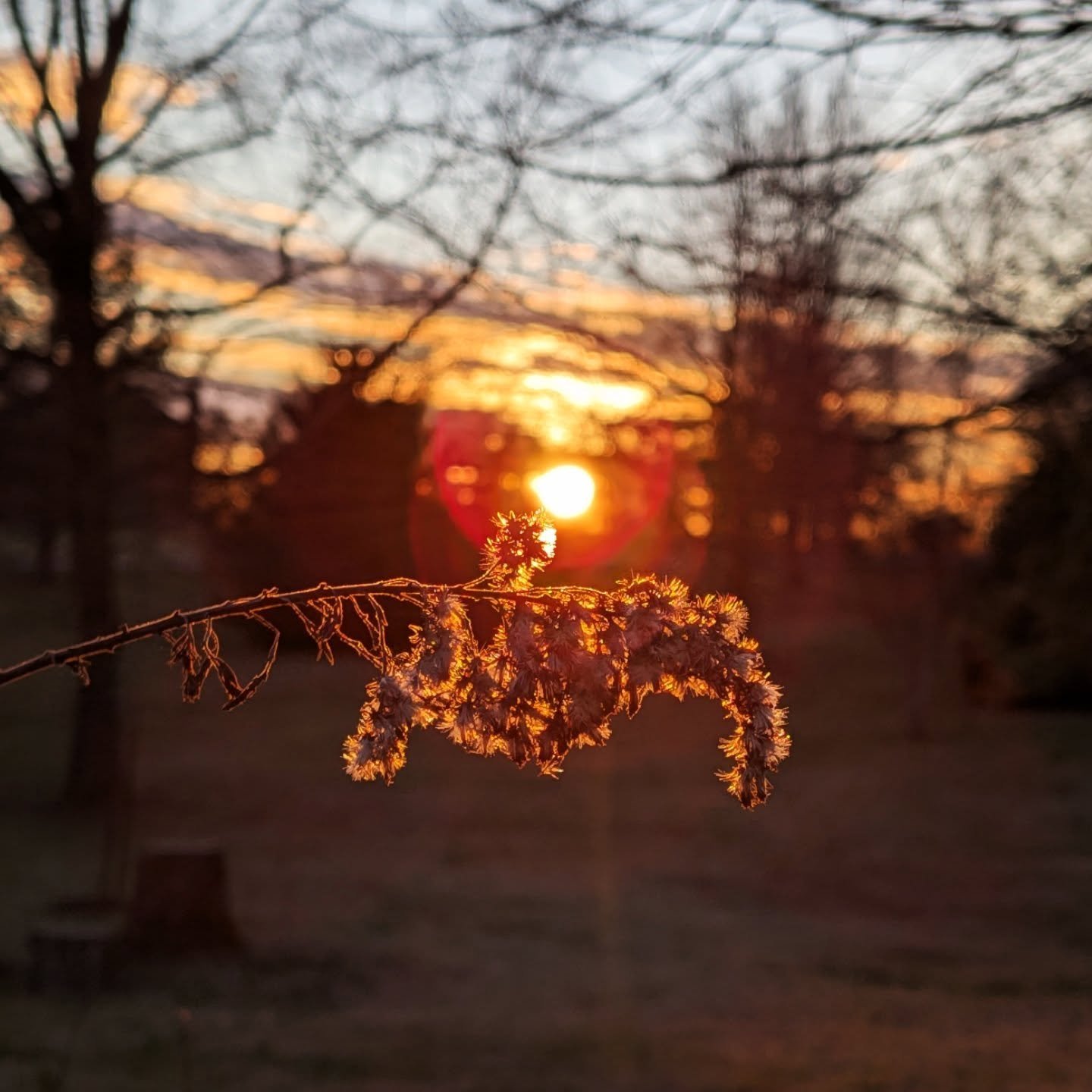 WINTER SOLSTICE HYMN

Winter comes on darkest day
Amid such times that blacken night.
Seeking hope, we make our way
As pilgrims off to gain new sight.

Violence, famine, war, and greed
Are bitter winds through suff'ring lands;
Frozen ground yields no