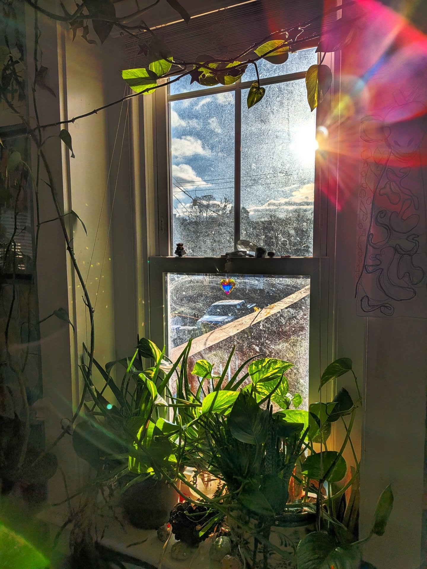 On a mountaintop in Sedona years ago, a wise guide asked me, "How do you want to *feel* this next year?" I understood at a new level that intention setting is about working with the body, heart, mind, and spirit to be fit for a new frequenc