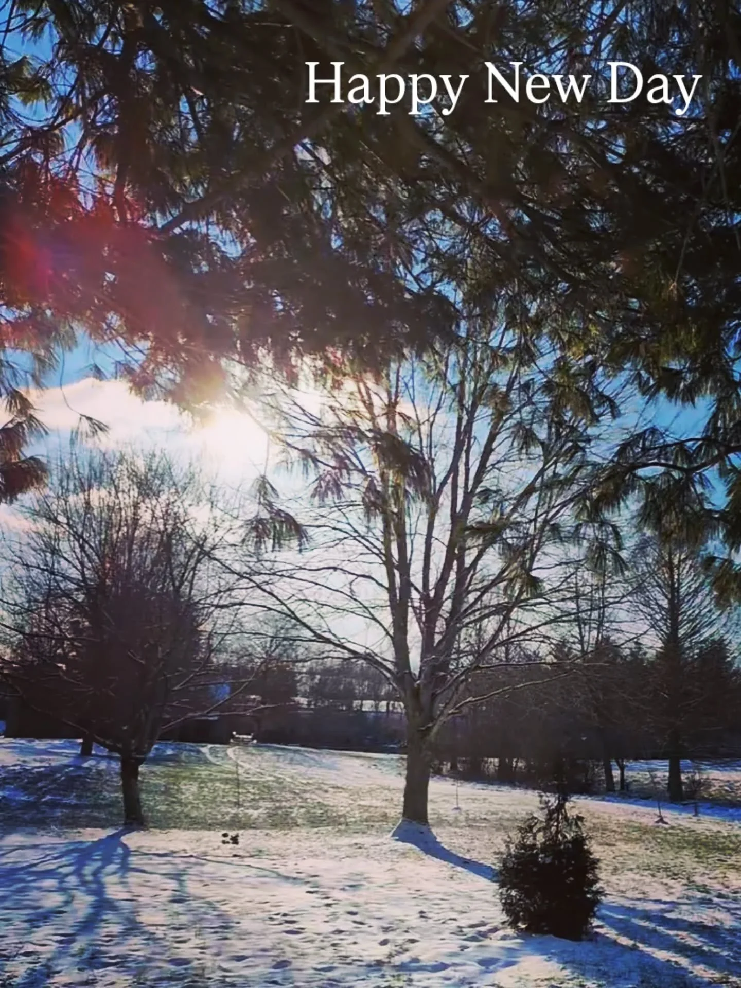 HAPPY NEW DAY 

Do not look forward to the ineffable New Year.
Devote yourself to the mundane, fresh New Day.
There may be no countdown or confetti
but, always, when you pay attention, there is a sunrise
that is a spectacle, even through the clouds.
