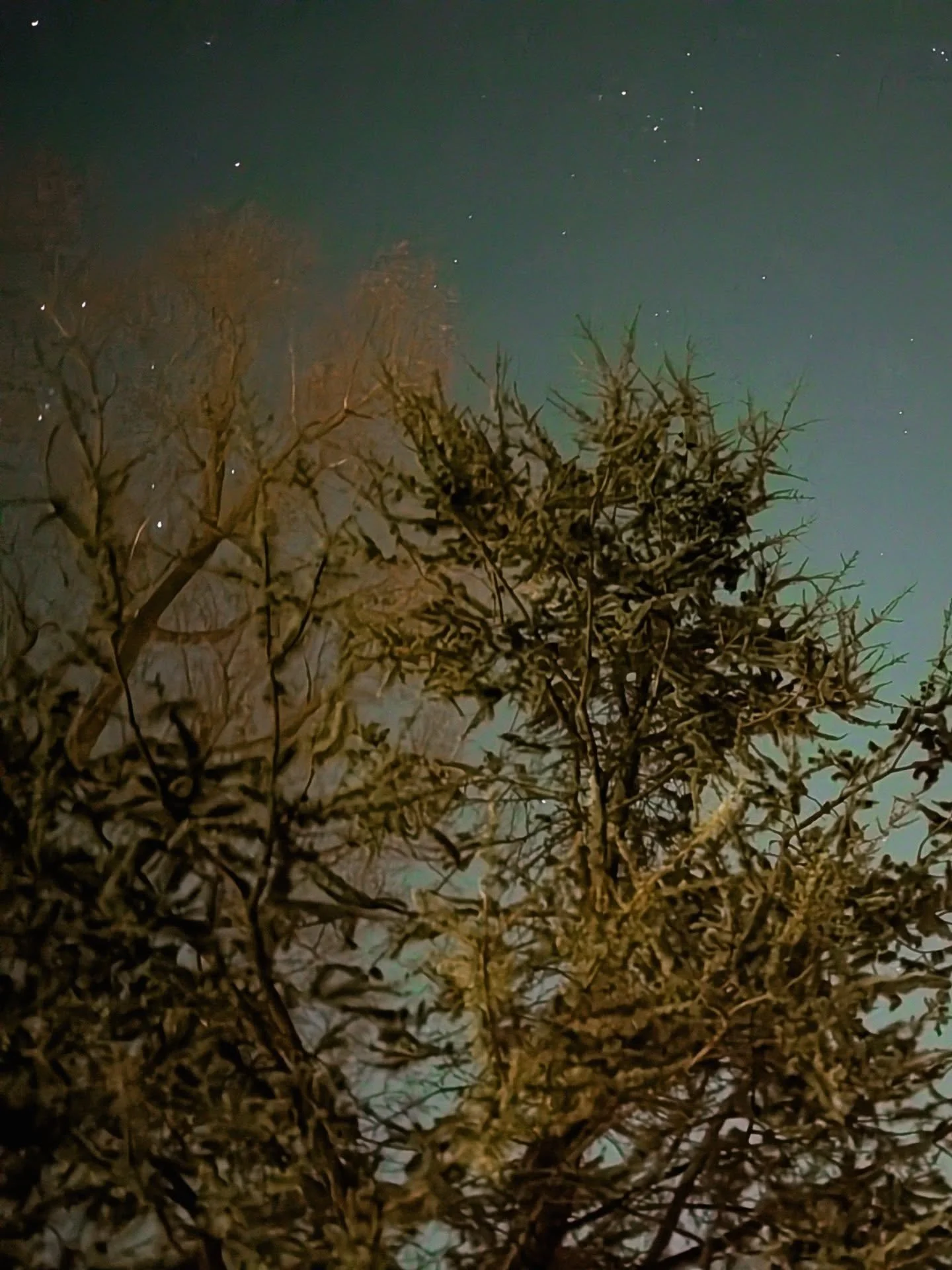 ❤️&zwj;🔥THERE ARE AS MANY WAYS TO JOIN THE MOVEMENT AS THERE ARE PEOPLE. This Friday, students in Minneapolis are calling for a nation-wide General Strike. Let's STRIKE while the collective iron is hot, y'all. Fellow Louisvillians and Kentuckians, l