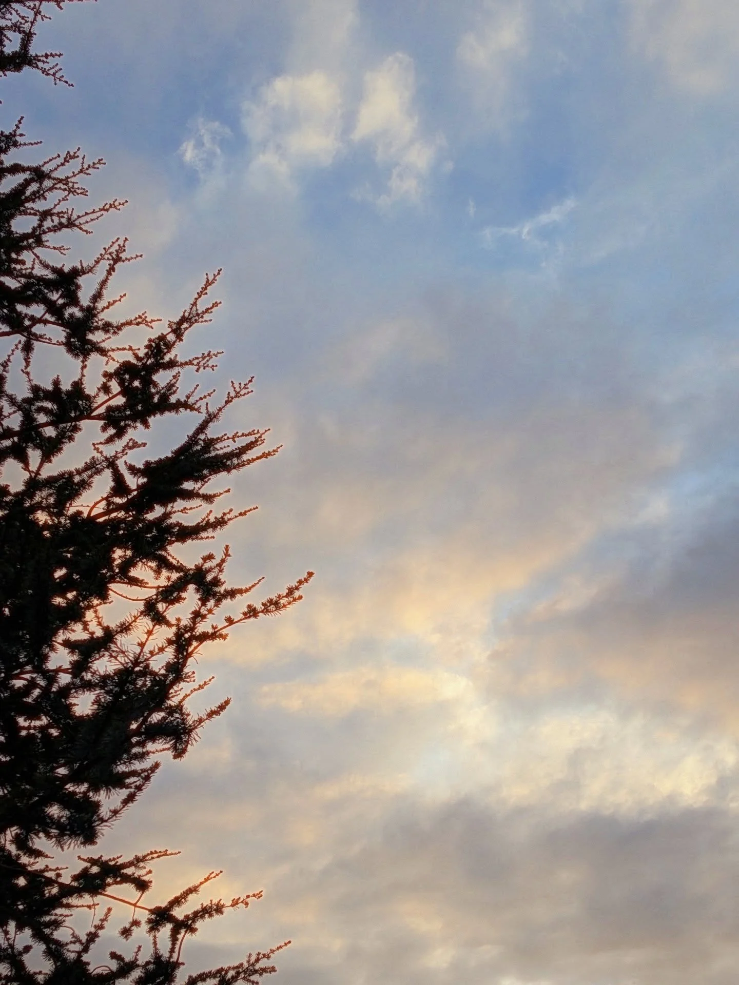 To fully participate in your life, it's important to give of yourself. When I used to hear that, I heard the intonation of sacrifice: "Reduce yourself by surrendering something you can never have back." It rang like a call to humility that 