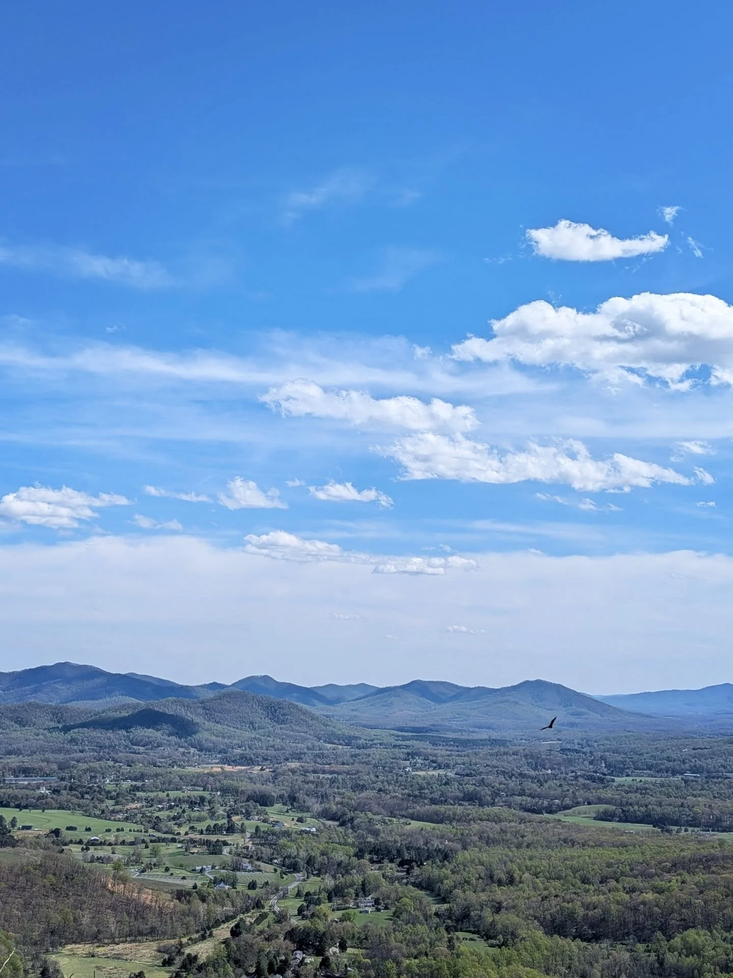 Bare, we are open and just.
Bare, we are the boldest truth-tellers.
Bare, we become like children.
Bare, we remember our place on Earth.

We bear the new world coming
in each moment we bear what Life grants us
with humility, grace, and honesty.

Fear