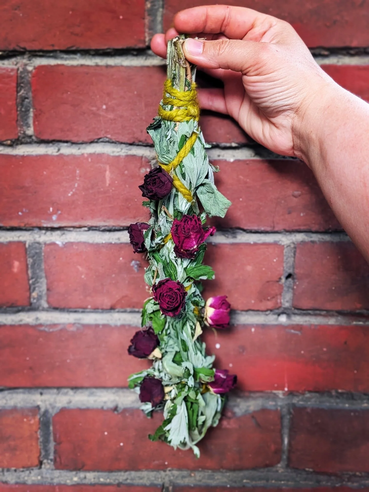 🌿 Mugwort &amp; Rose🌹 

I once thought miracles and magic were rare. 
I once thought I had to become worthy of love.

Now, I laugh at my garden lushly rampant with runaway mugwort, more than I can ever uproot.

Roses dried from Valentine bouquets n