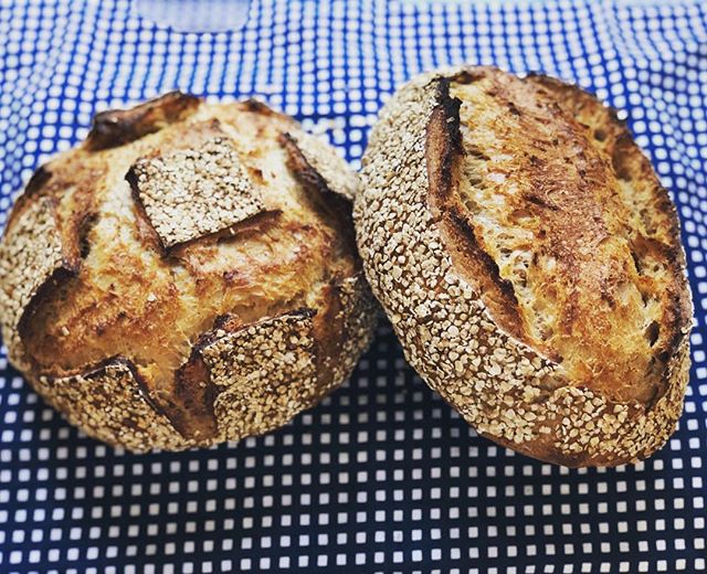 Oats & Molasses Sourdough. Simple. Satisfying. And delicious smeared with salted butter or honey or a slab of cheese or whatever you like... These were part of a 70th birthday celebration for TWINS! Happy birthday ladies! .
.
.
.
.
.
#dapperfox #