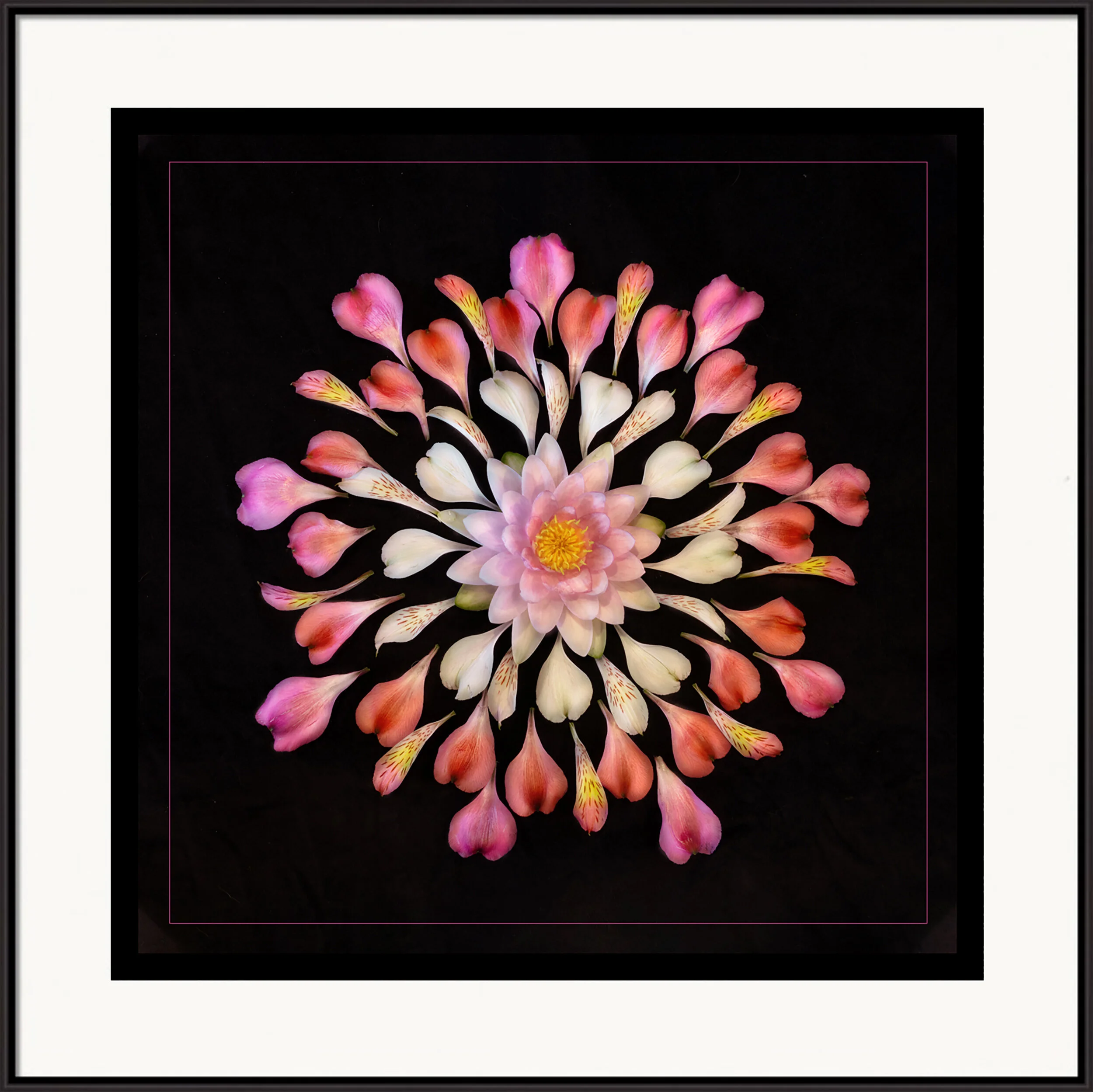 "Water Lily Mandala" by Ellen Anon