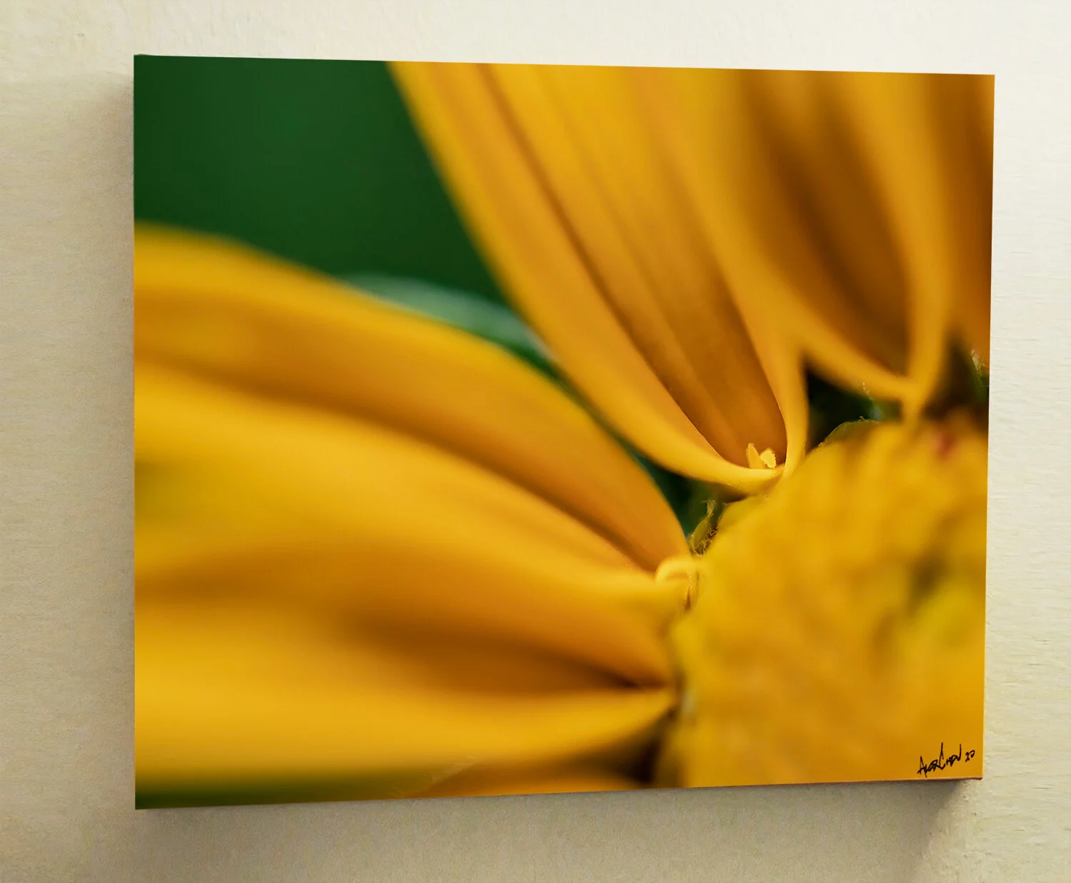 "Bright Blooming Life" by Alex Cohen