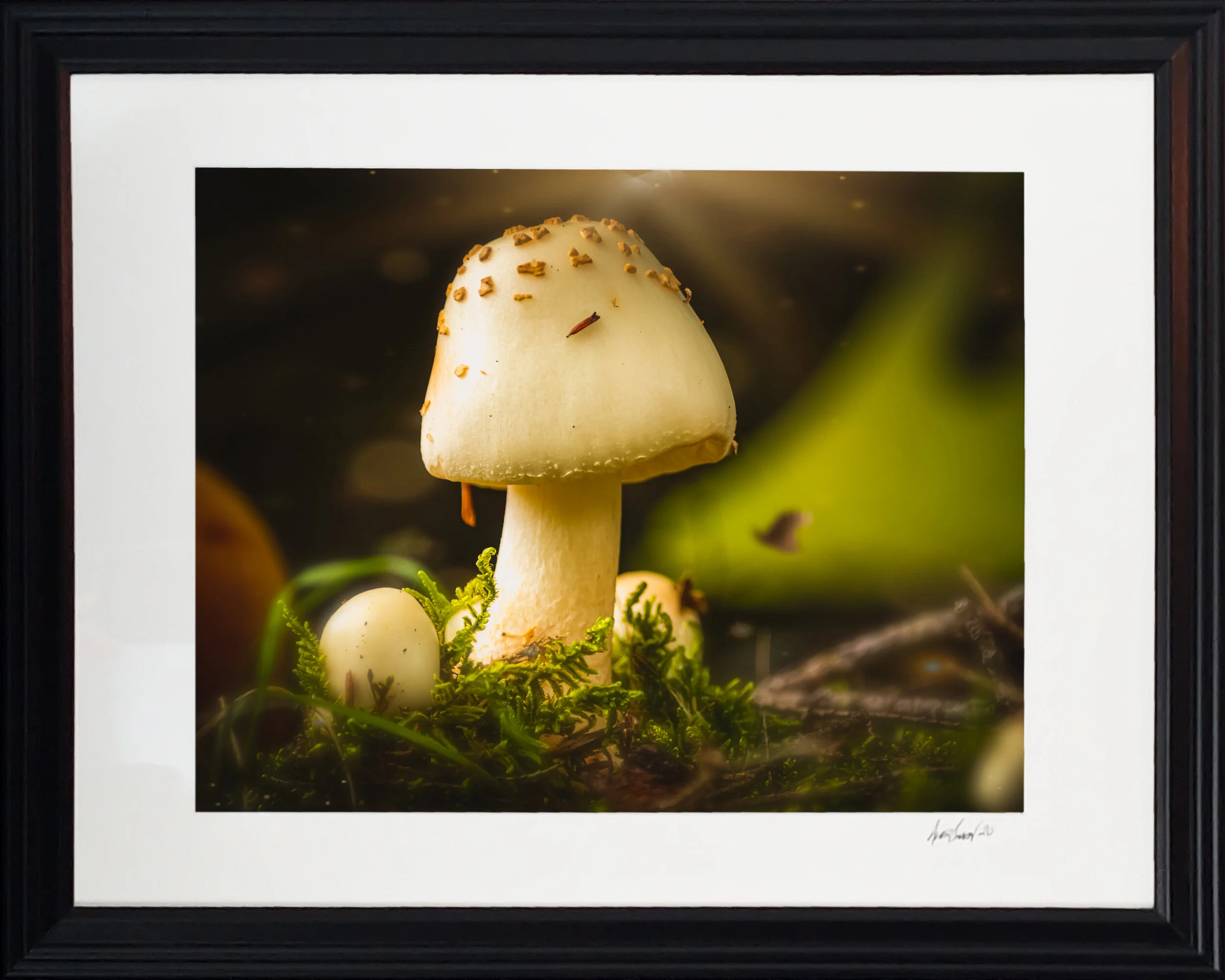 "That's One Fungi" by Alex Cohen