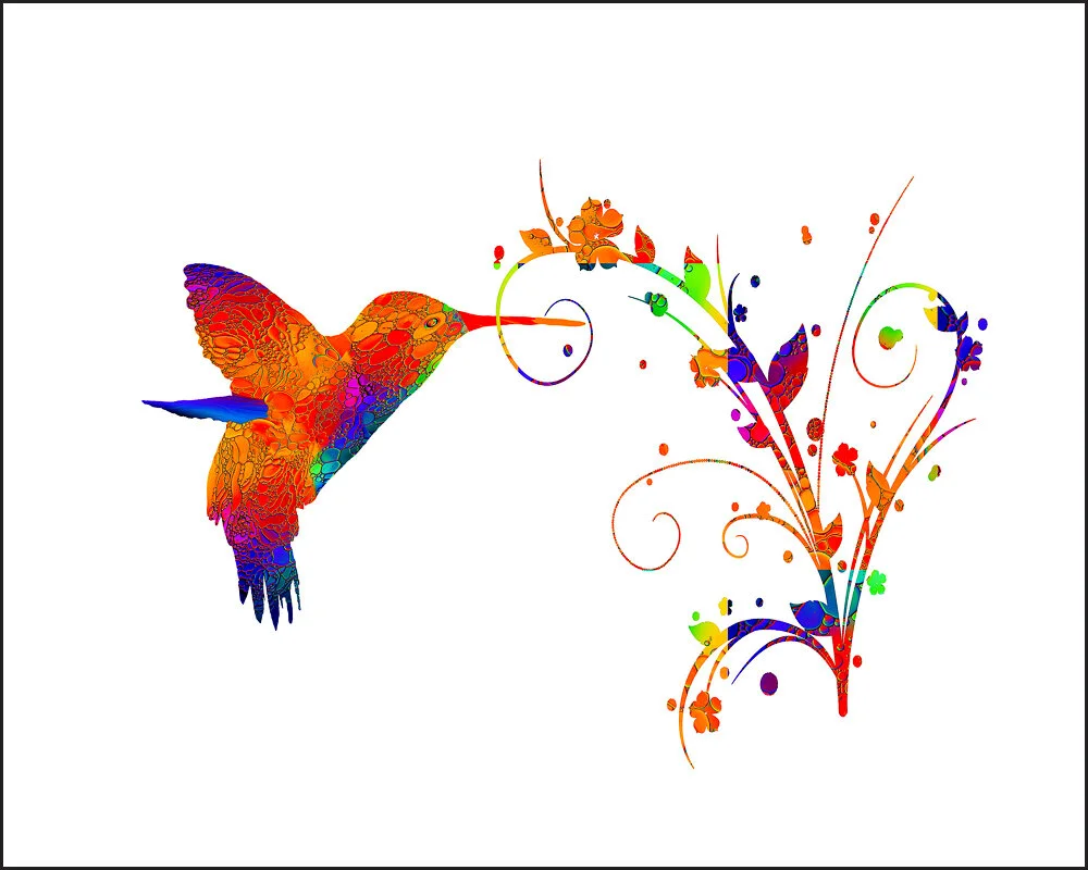"The Magic of Hummingbirds" by Patti Larson