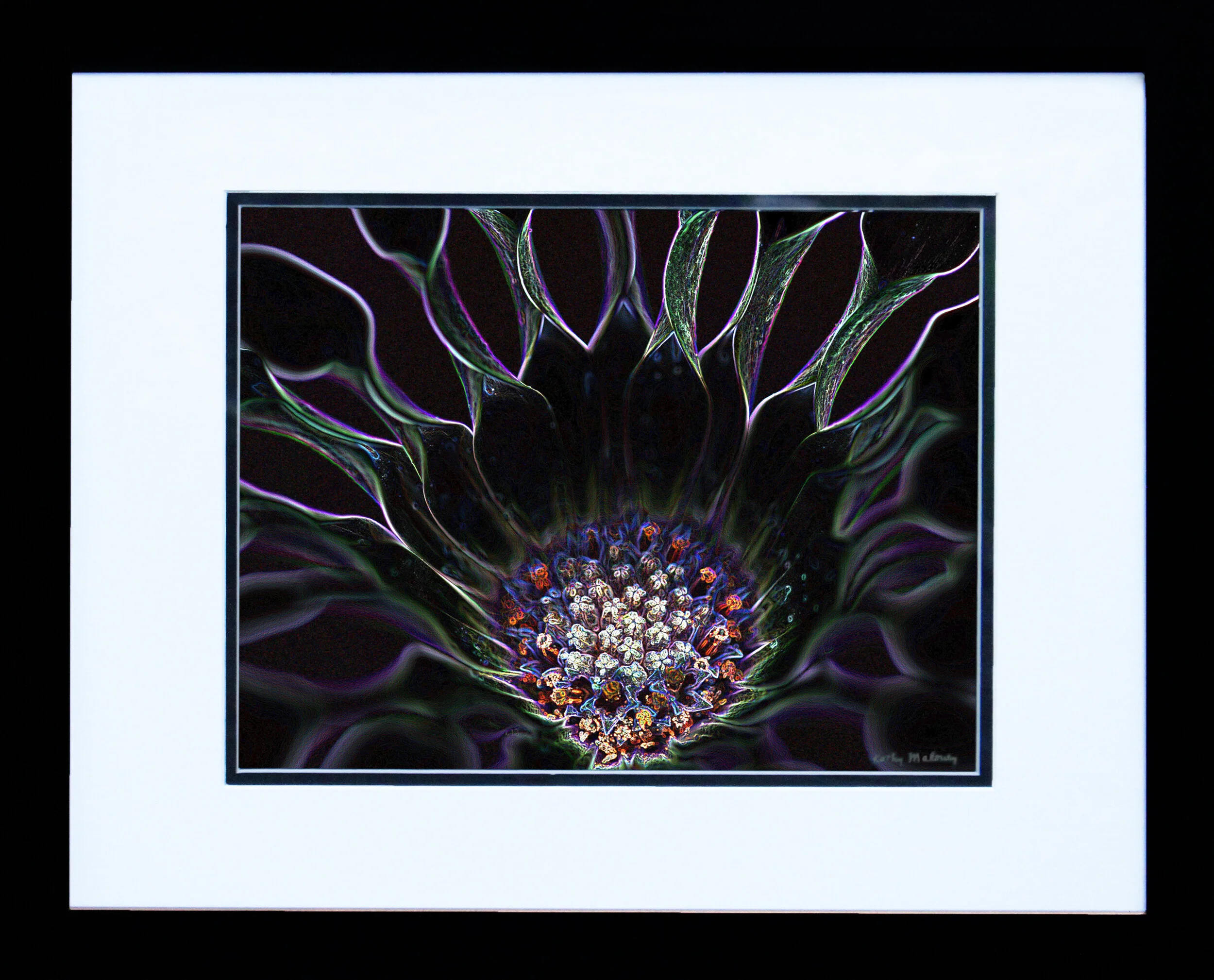 "Inside the Daisy" by Kathy Maloney