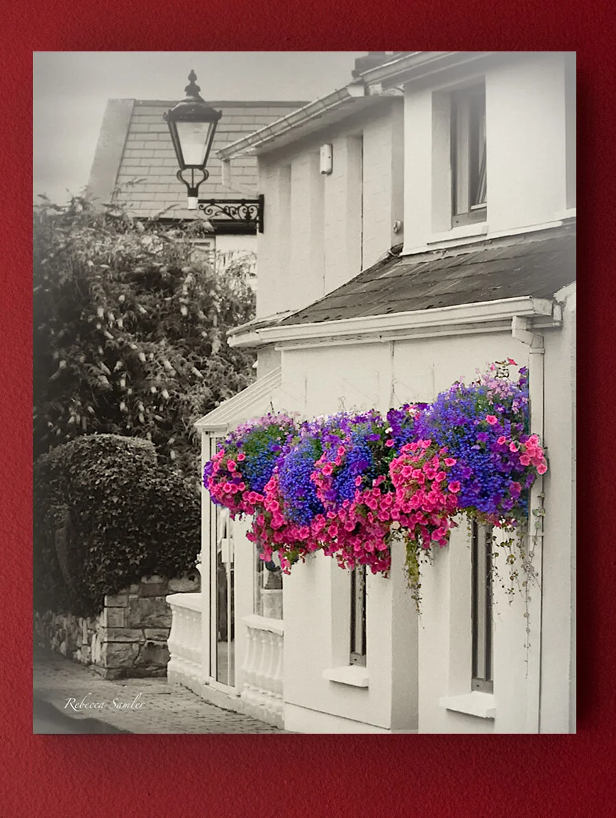"Shades of Ireland" by Rebecca Samler