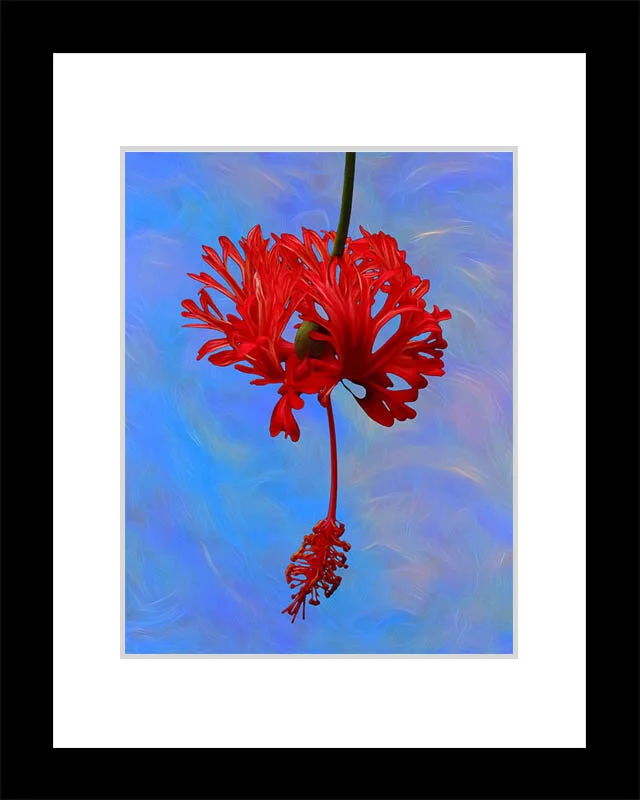 "Tiny Dancer" by Greg Zbach