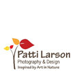 Larson logo2.jpg