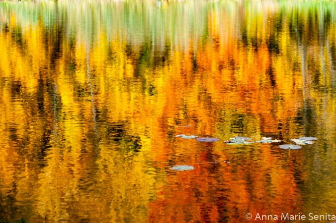 "Reflections" by Anna Marie Senita