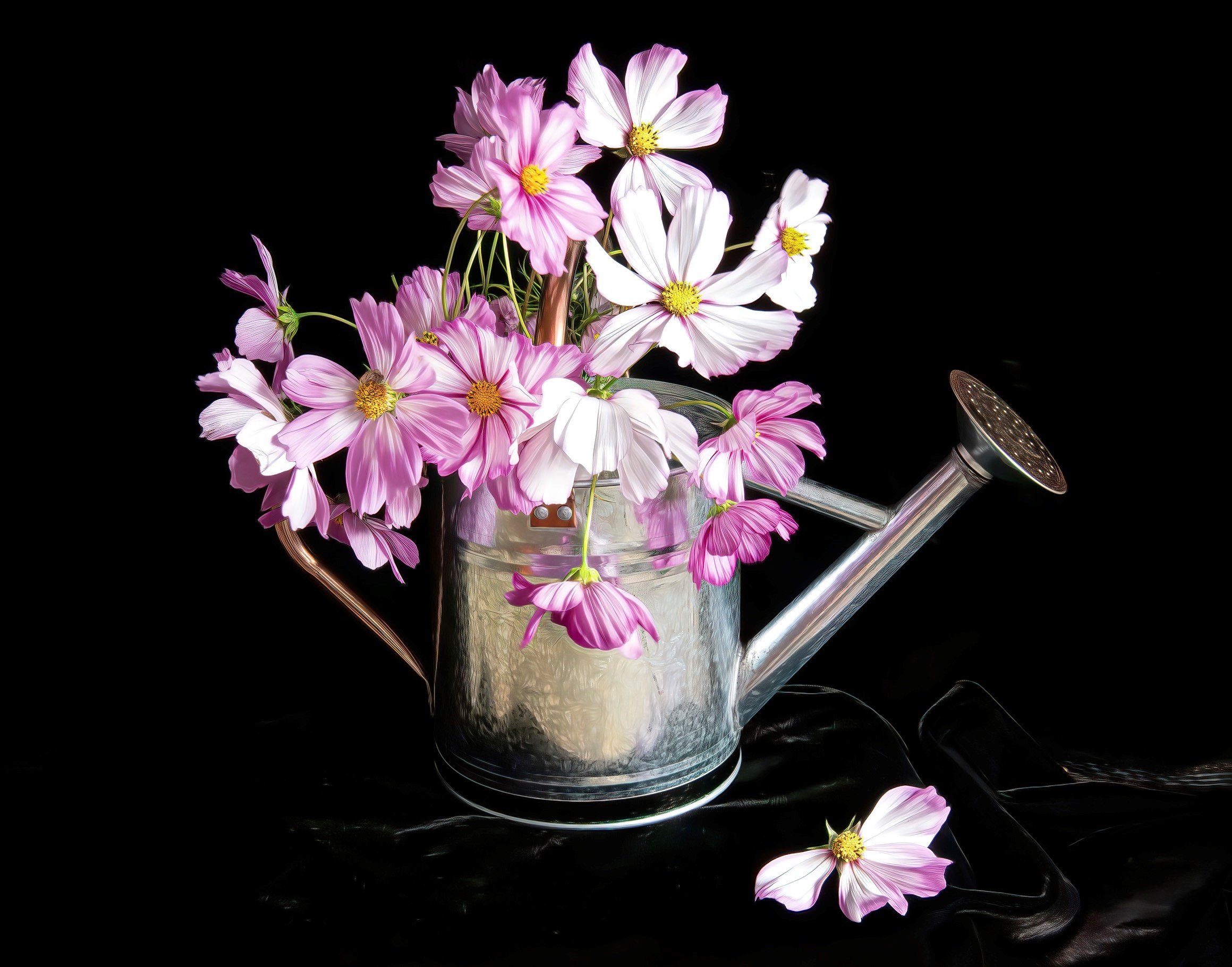 French_A Sprinkle of Summer
