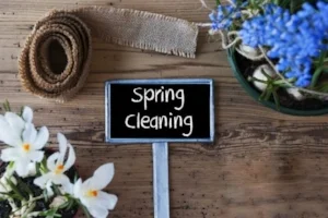 EnergeticBenefitsofSpringCleaning.jpg