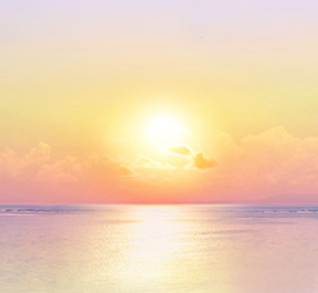 Screen Shot 2019-06-02 at 7.34.04 PM.png