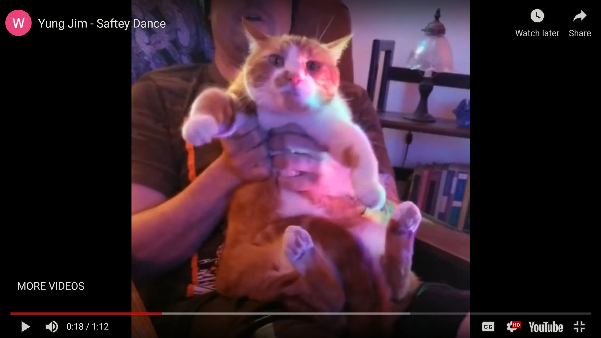 Safety Dance (Men w/ out Hats) cover by Jimmy the cat.