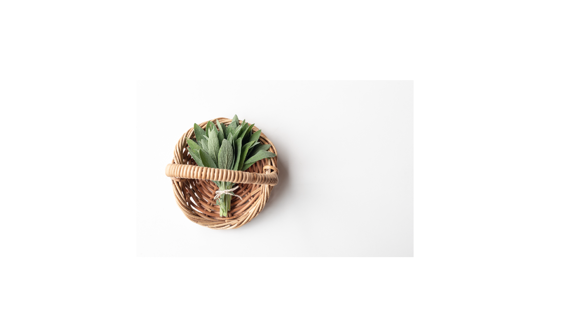 New Project-3.png