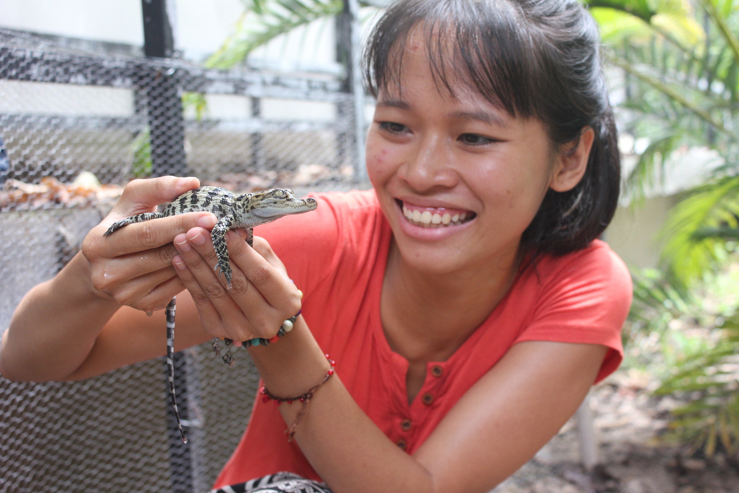 TrangNguyen with a newly hatched Siamese crocodile.JPG