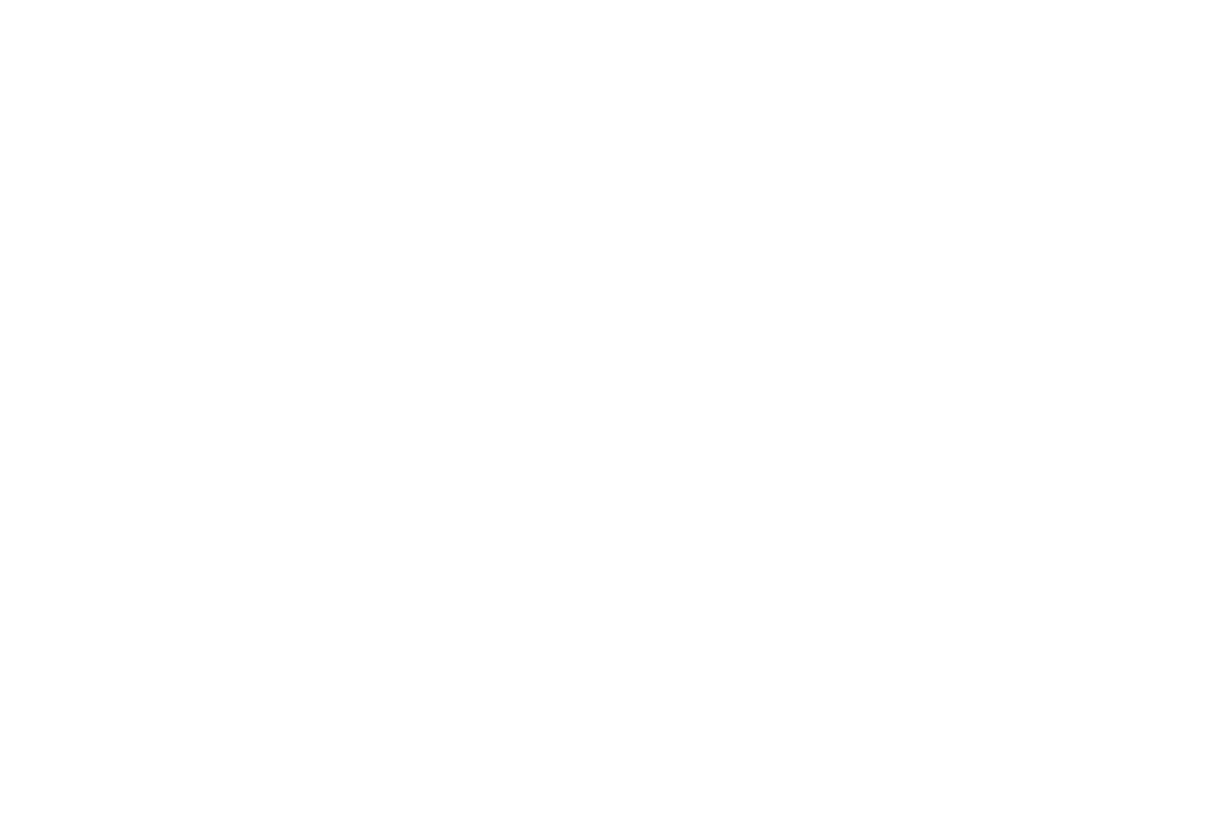 WorldFest-Houston International Film  Video Festival - Platinum Remi Award Winner  - 2020 (1).png