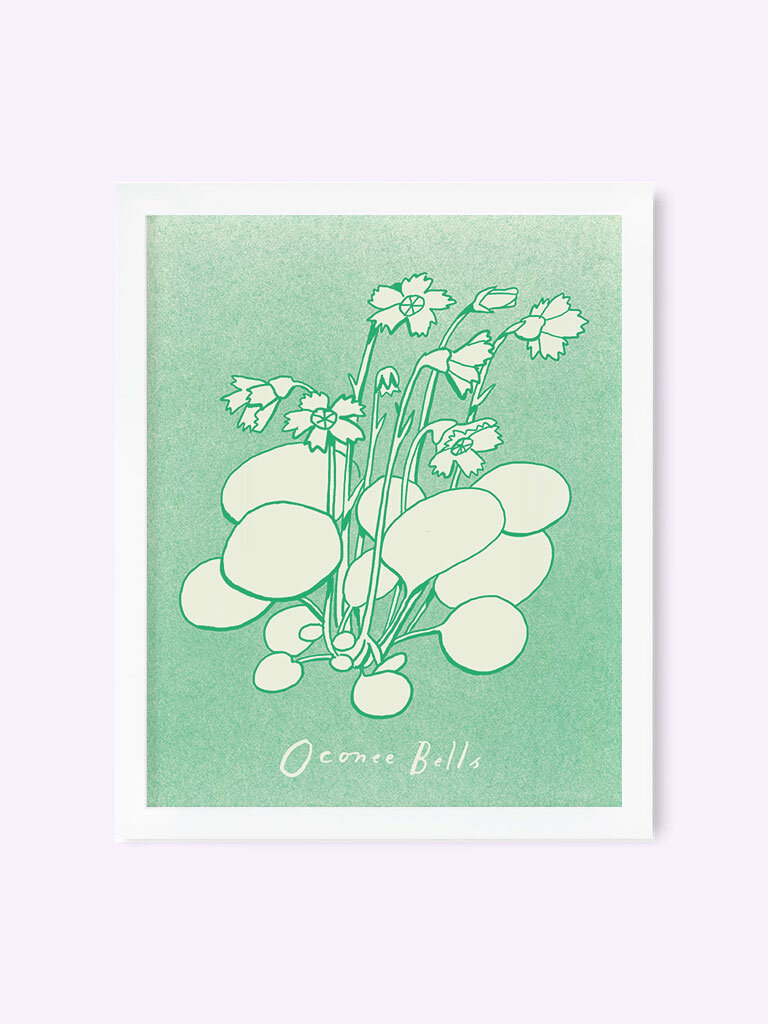Print-Oconee_Bell-web.jpg