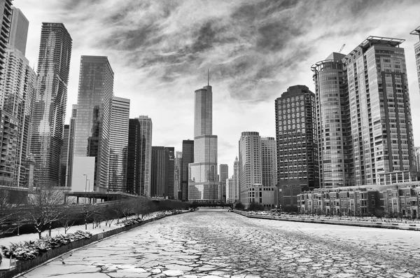 Frozen Chicago River