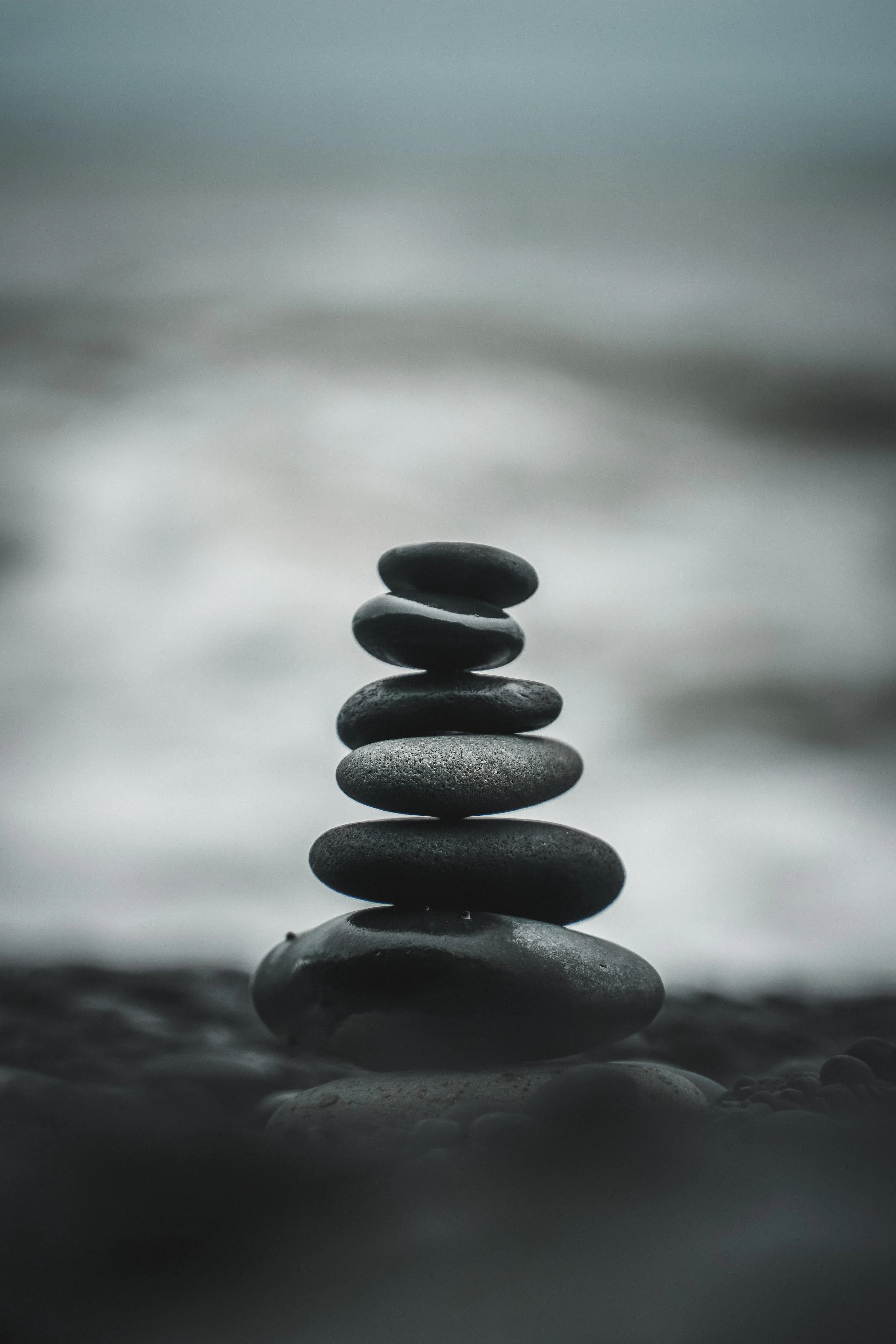 Rooted in Rhythm